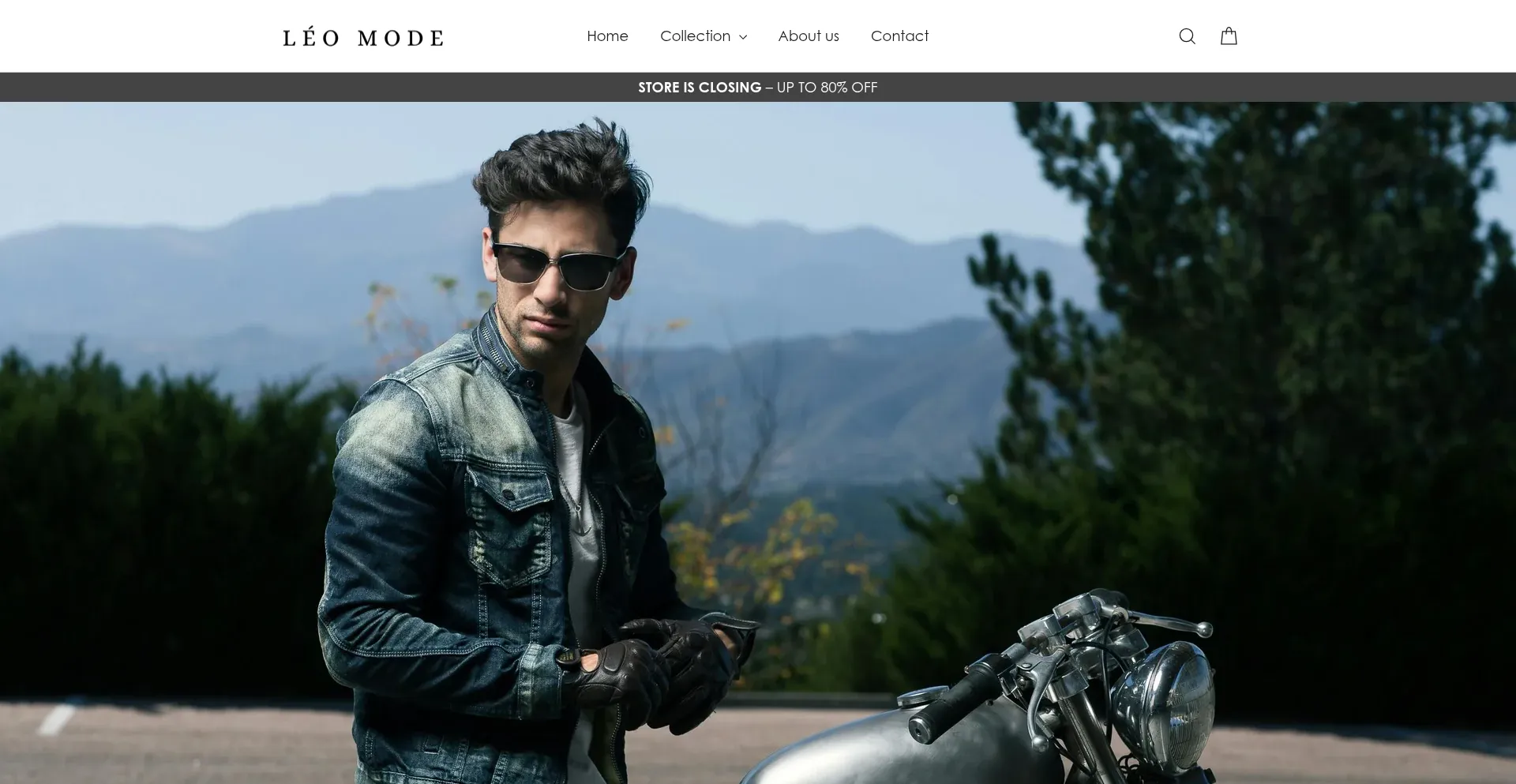 Website screenshot of Leo-mode.com