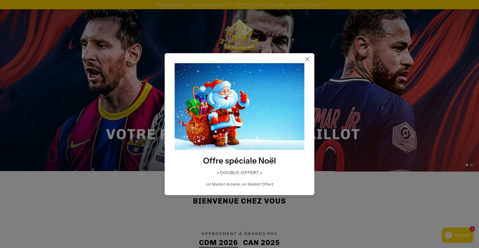 Leroyaumedumaillot.com