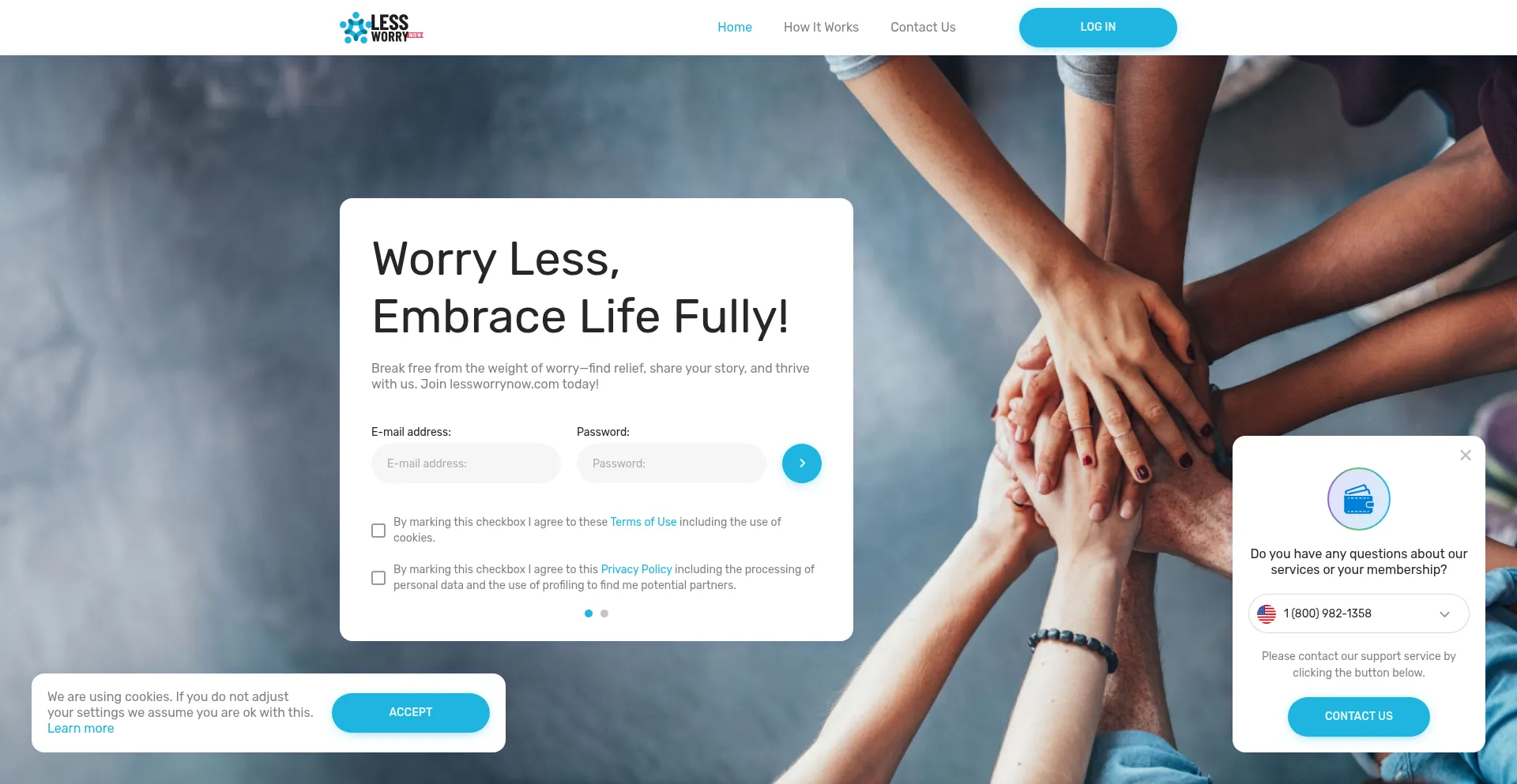 Website screenshot of Lessworrynow.com