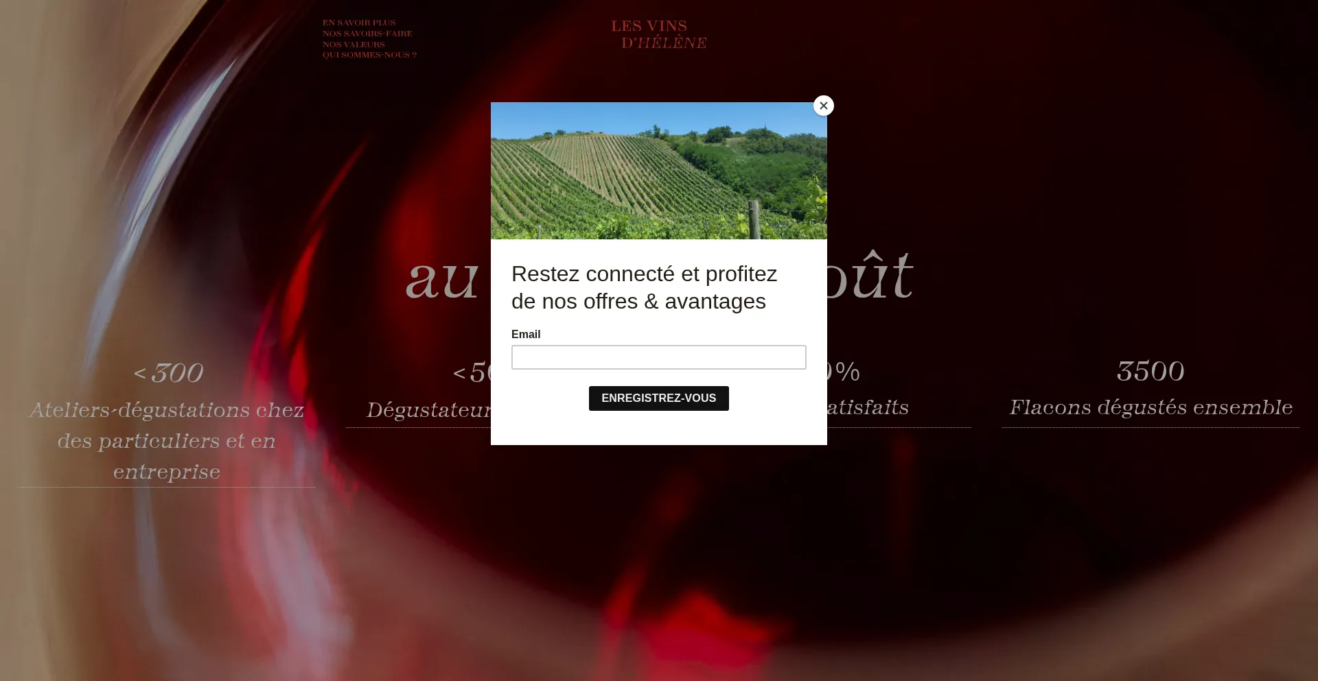 Lesvinsdhelene.com est-il Sûr et Fiable ?