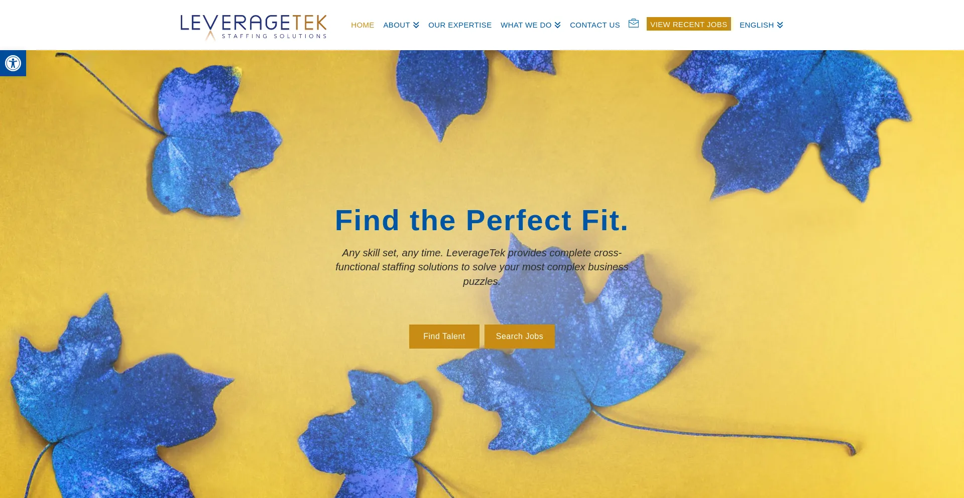 Website screenshot of Leveragetek.ca