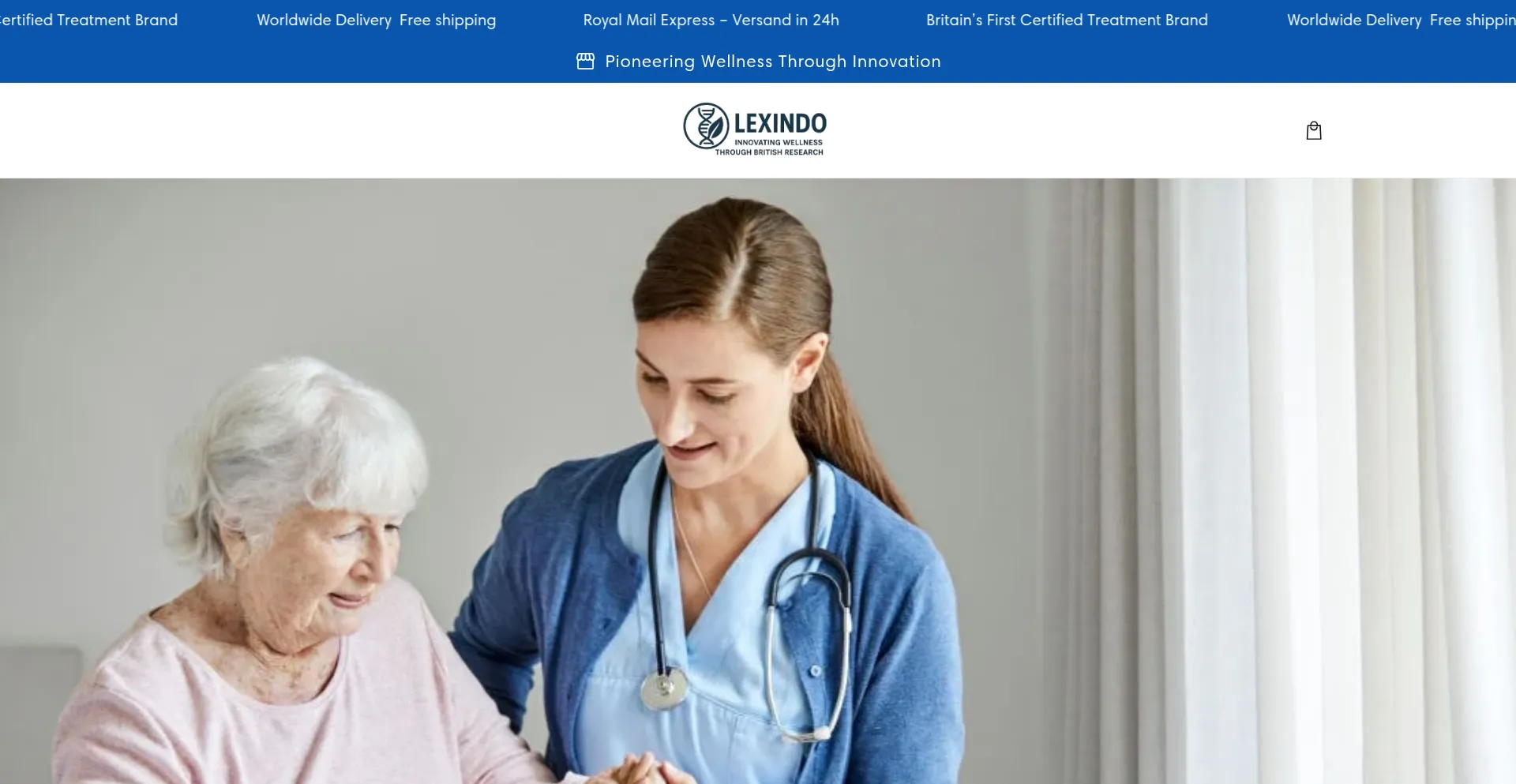 Website screenshot of Lexindo.online