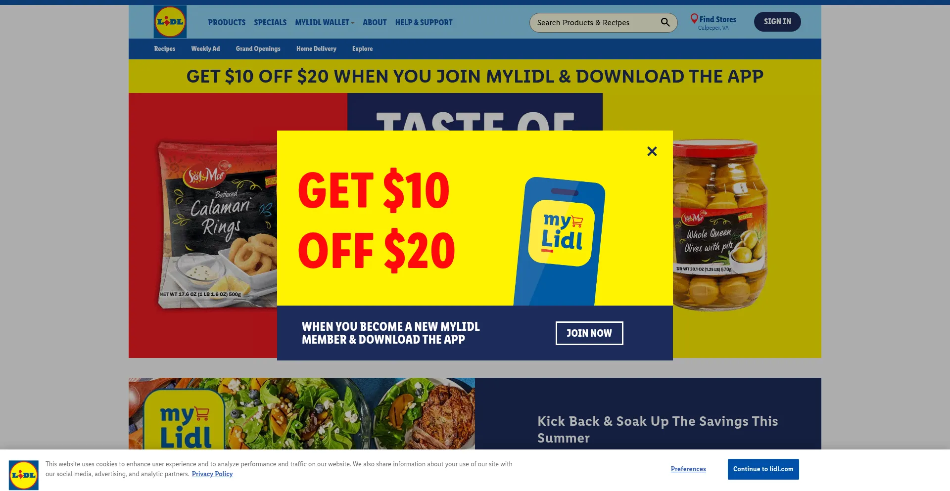 Website screenshot of Lidl.com