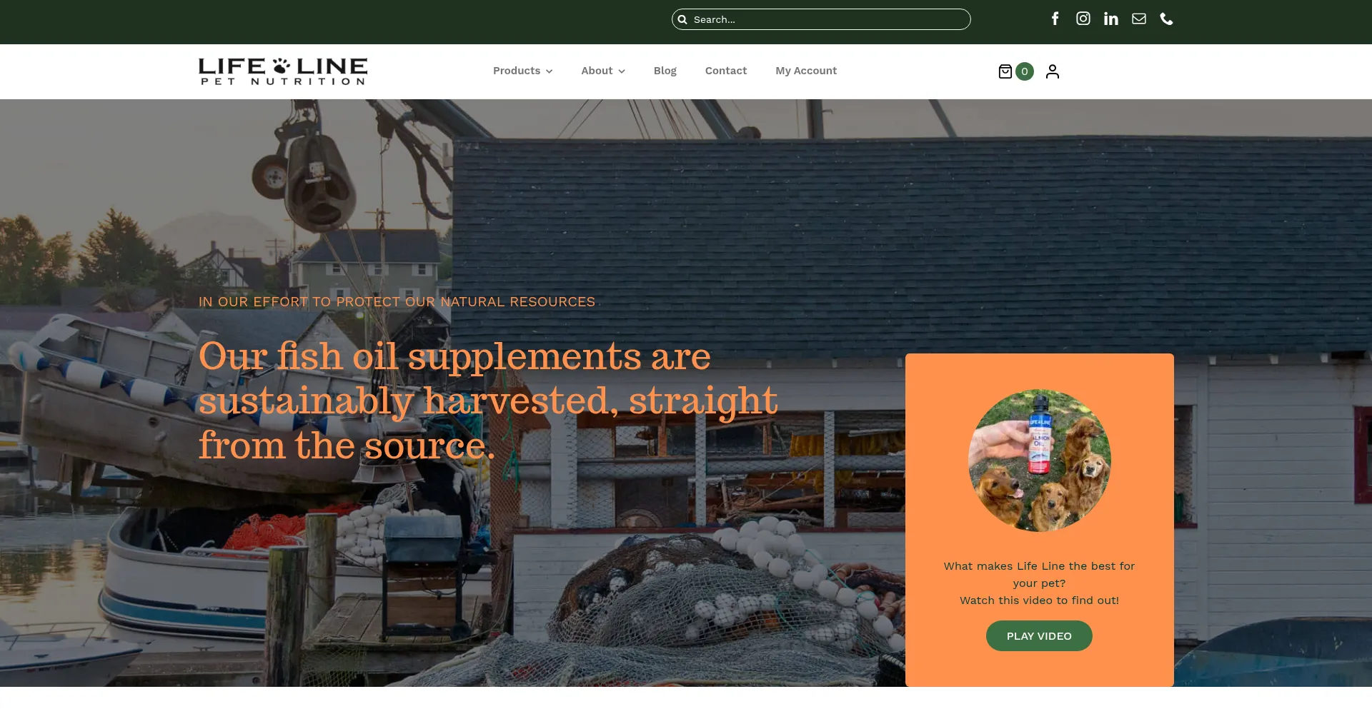 Lifelinepet.com est-il Sûr et Fiable ?