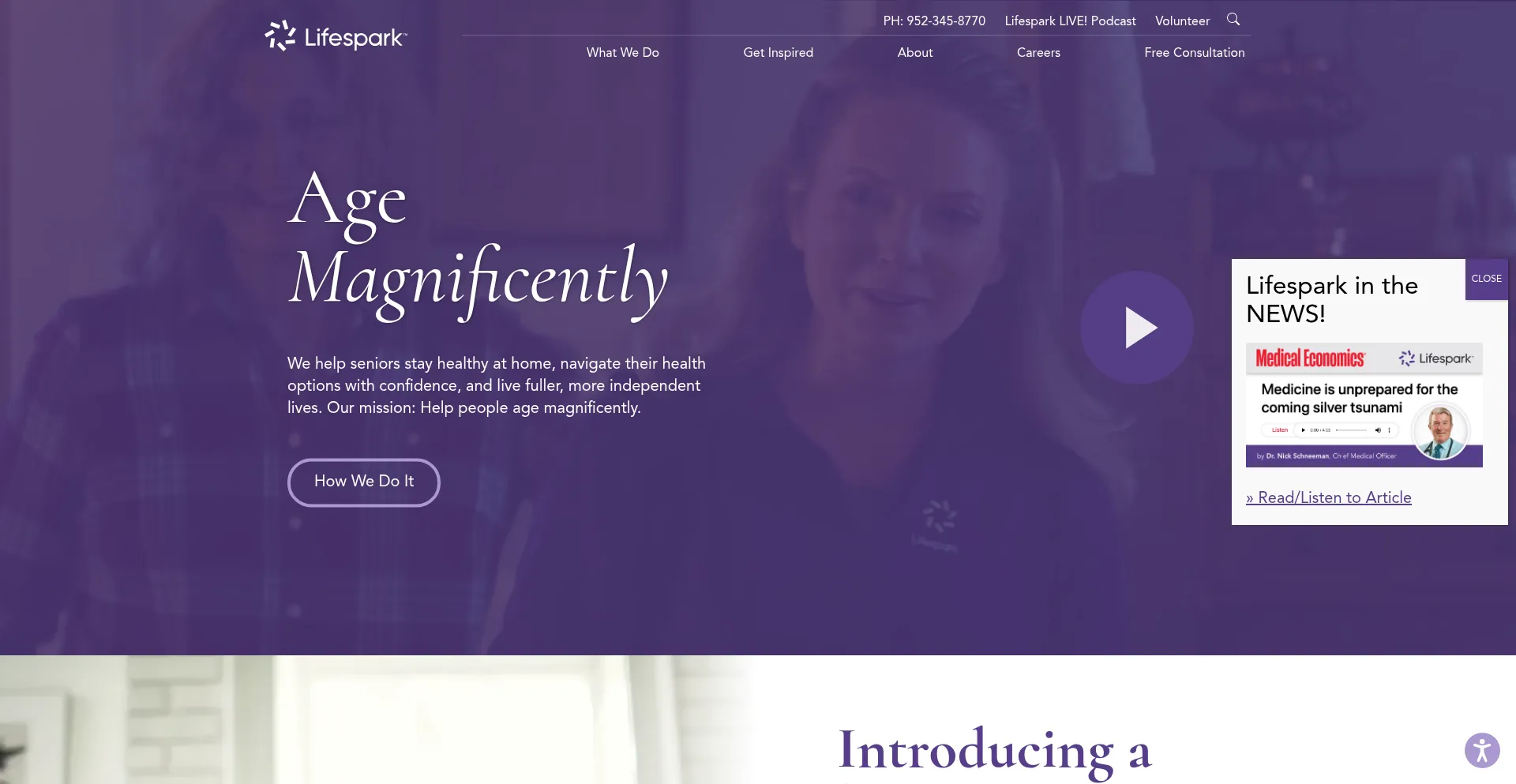 Website screenshot of Lifespark.com