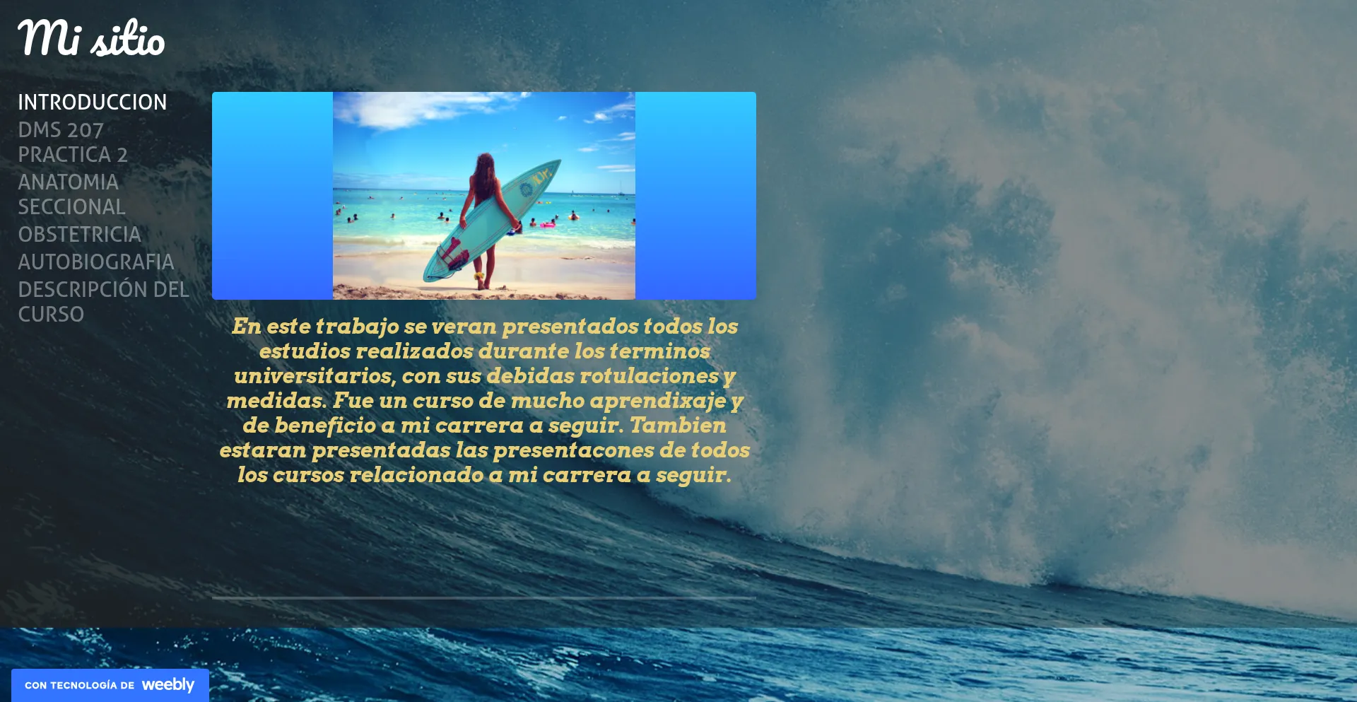 Website screenshot of Lilianavalentin.weebly.com