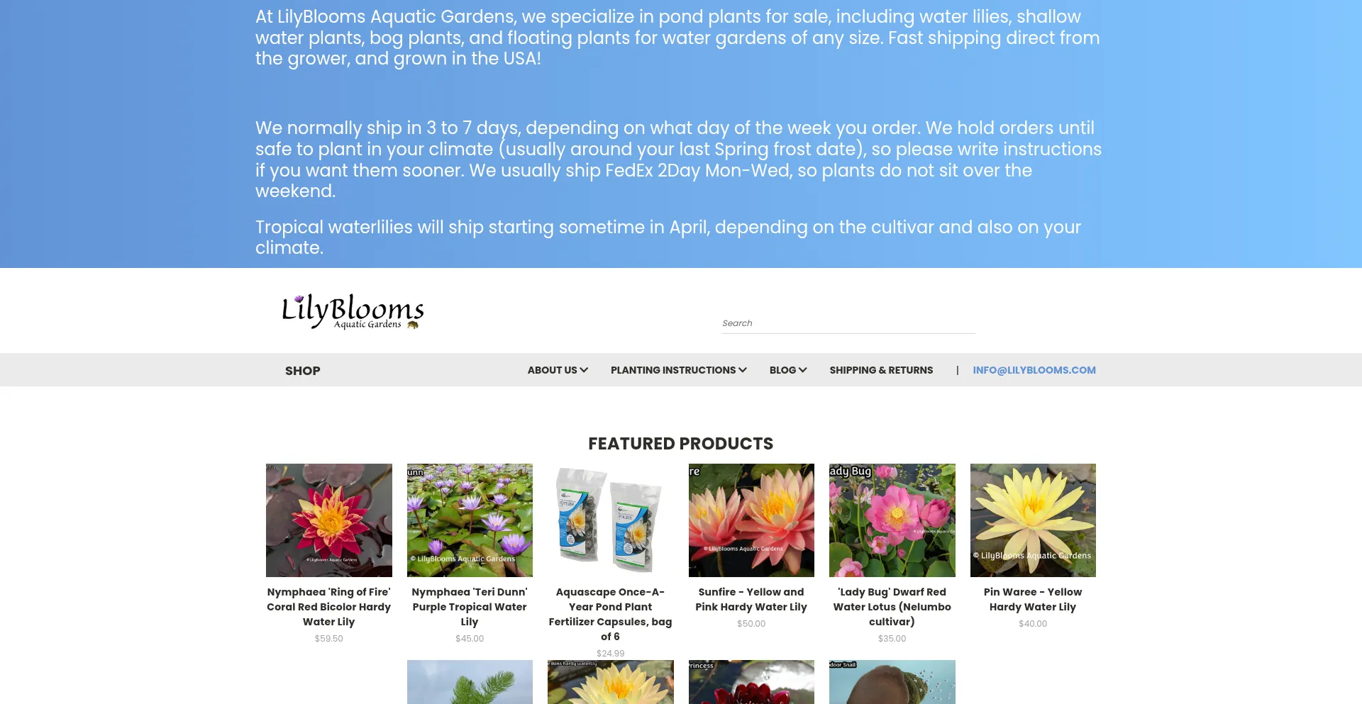 Lilyblooms.com