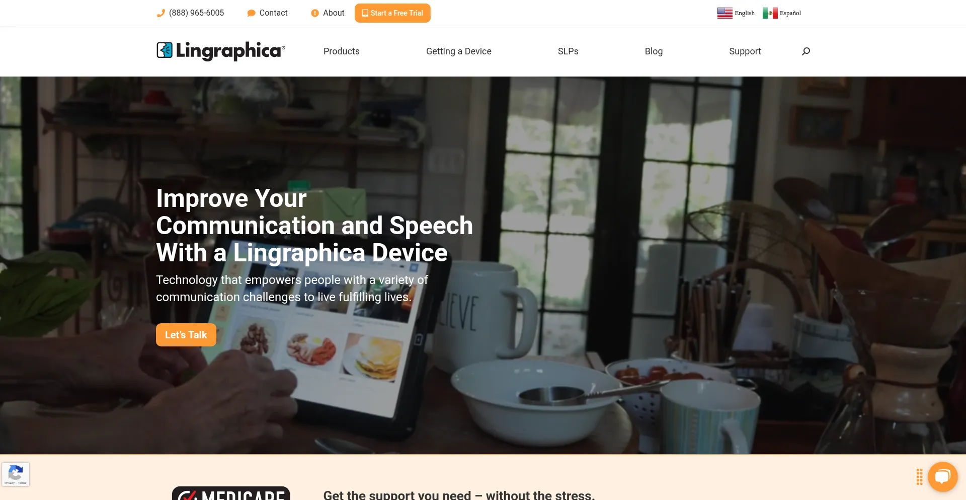 Website screenshot of Lingraphica.com