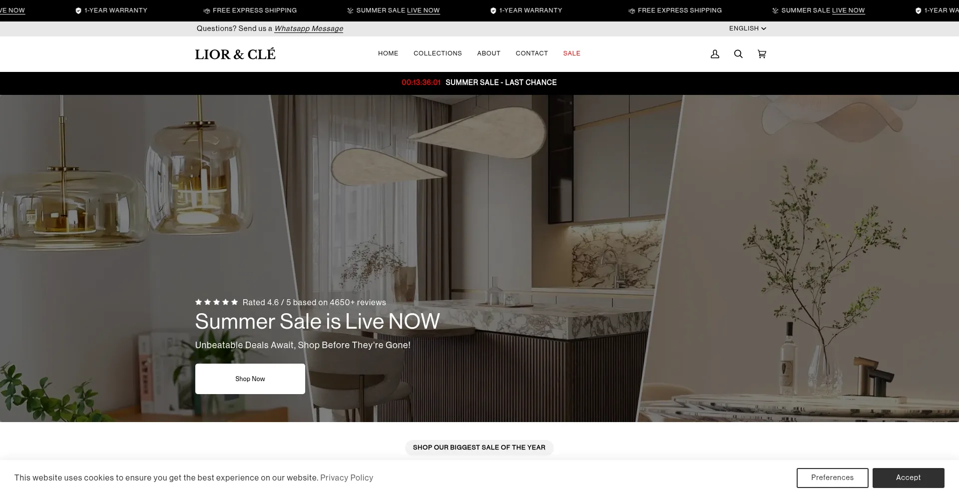 Website screenshot of Liorandcle.com