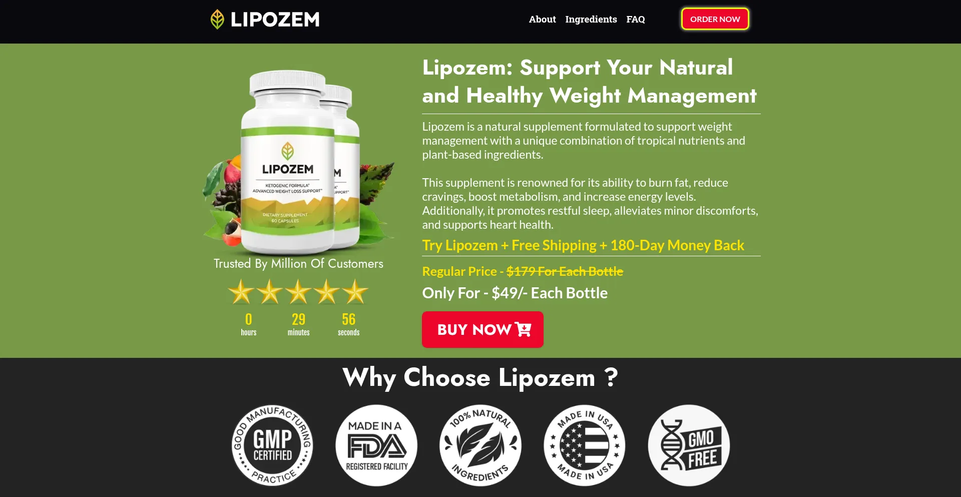 Lipozem-en.us