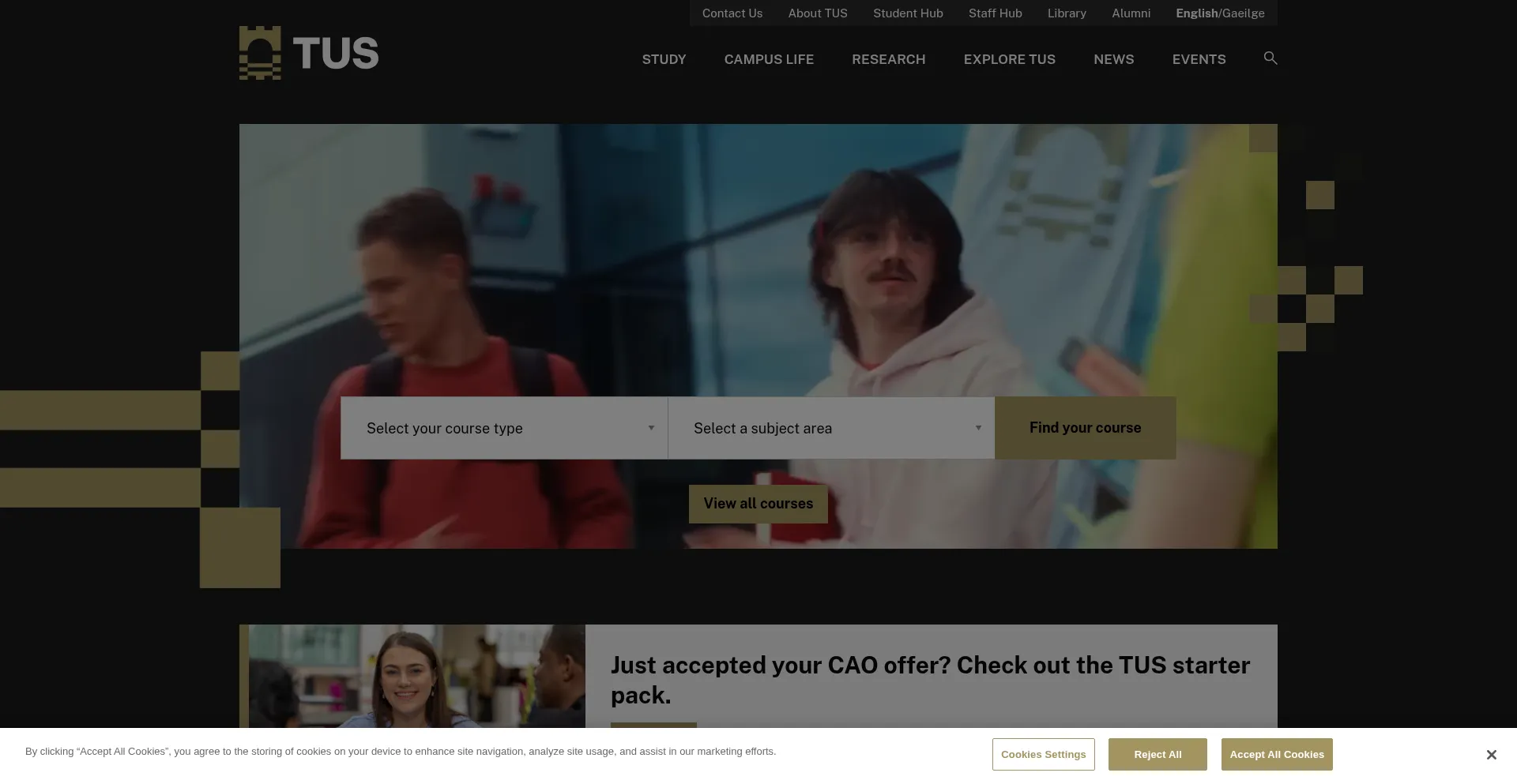 Lit.ie Screenshot