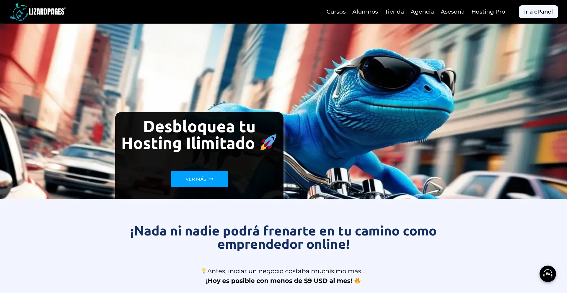 Website screenshot of Lizardpages.pro