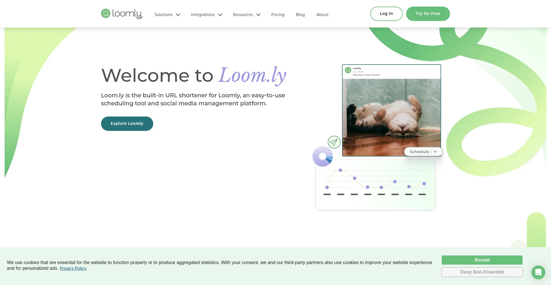 Website screenshot of Loom.ly