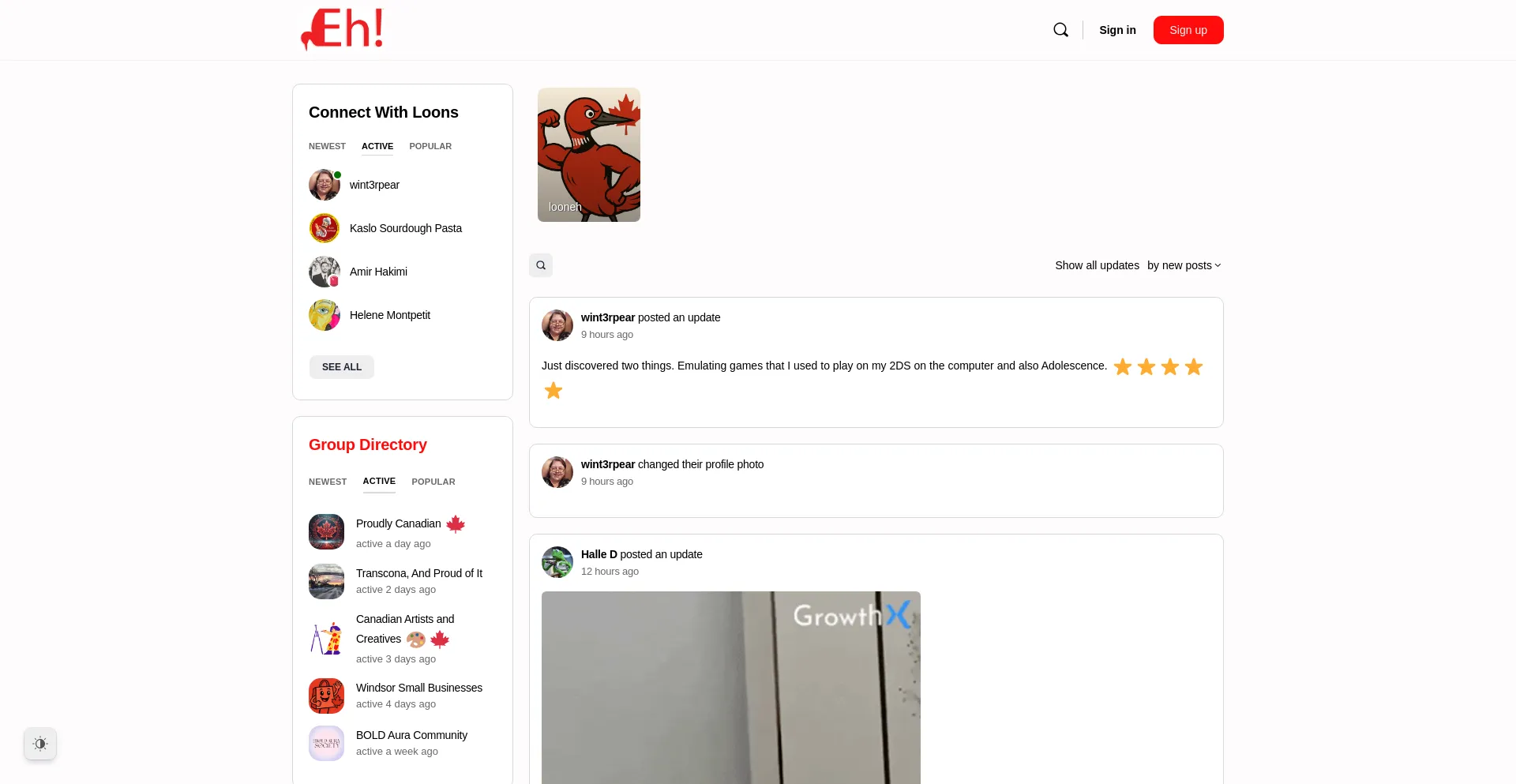 Website screenshot of Looneh.net