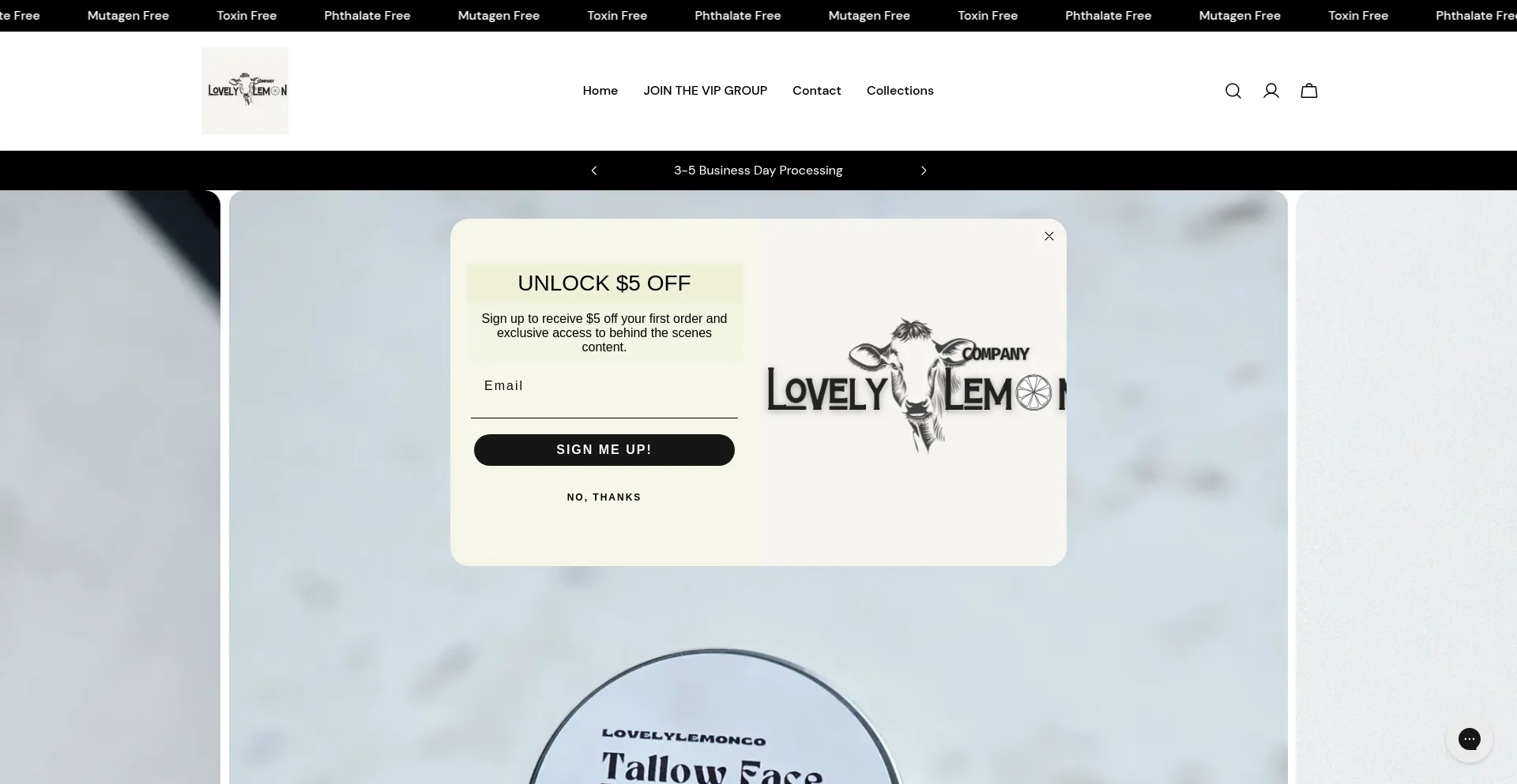 Website screenshot of Lovelylemonco.com