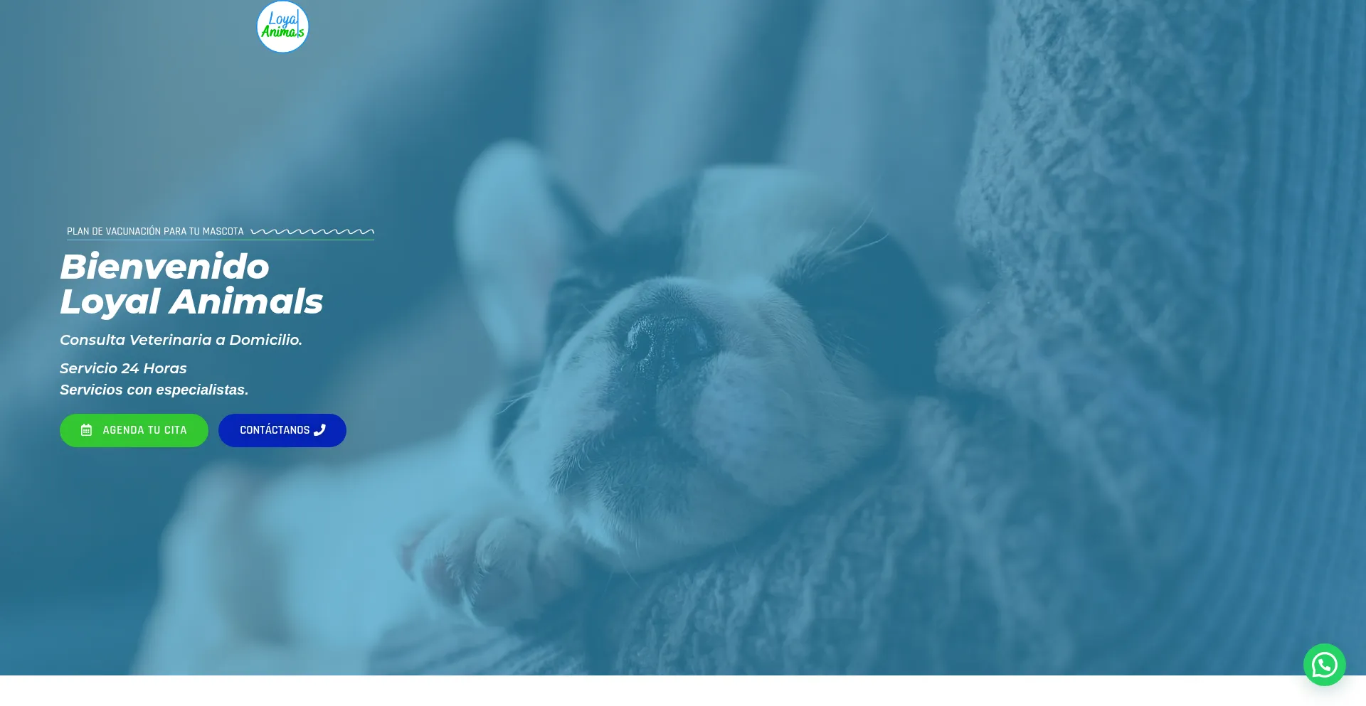 Loyalanimals.com.co