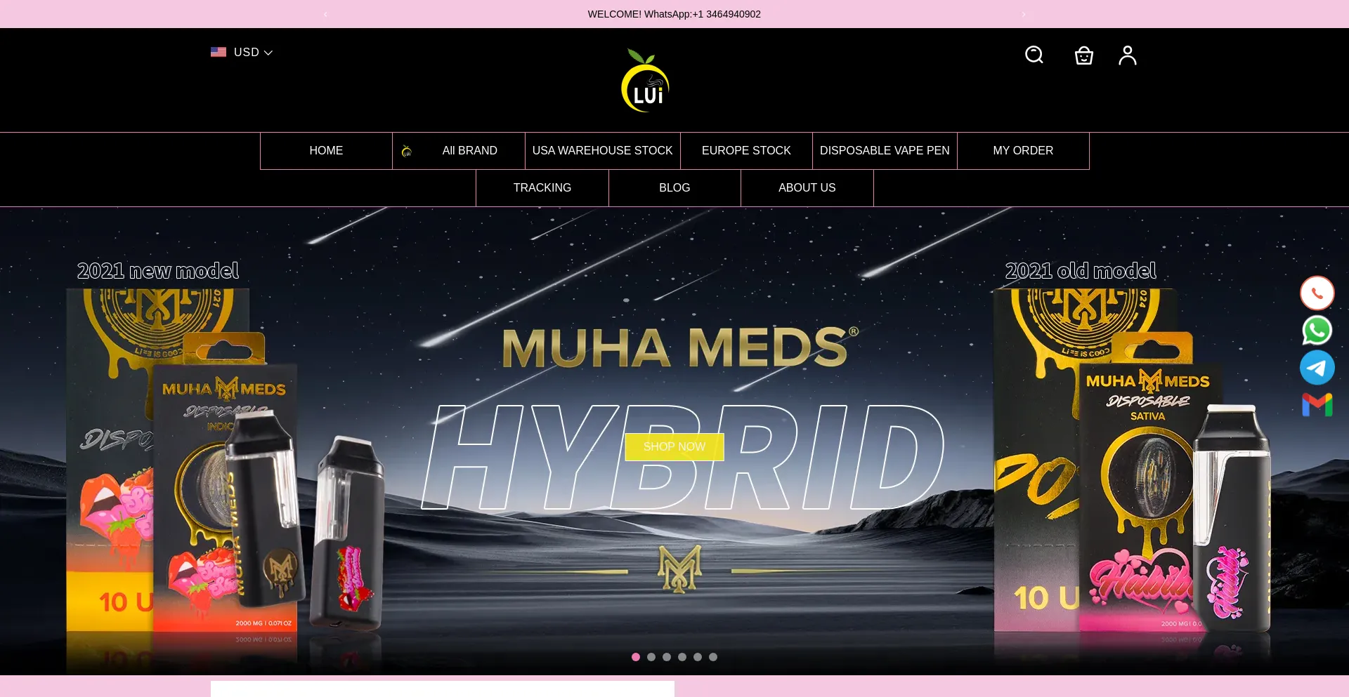 Website screenshot of Lueciga.com