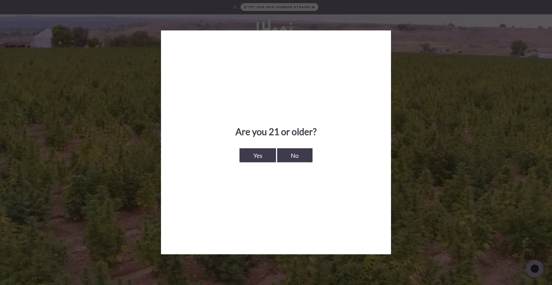 Lumigummies.com Screenshot