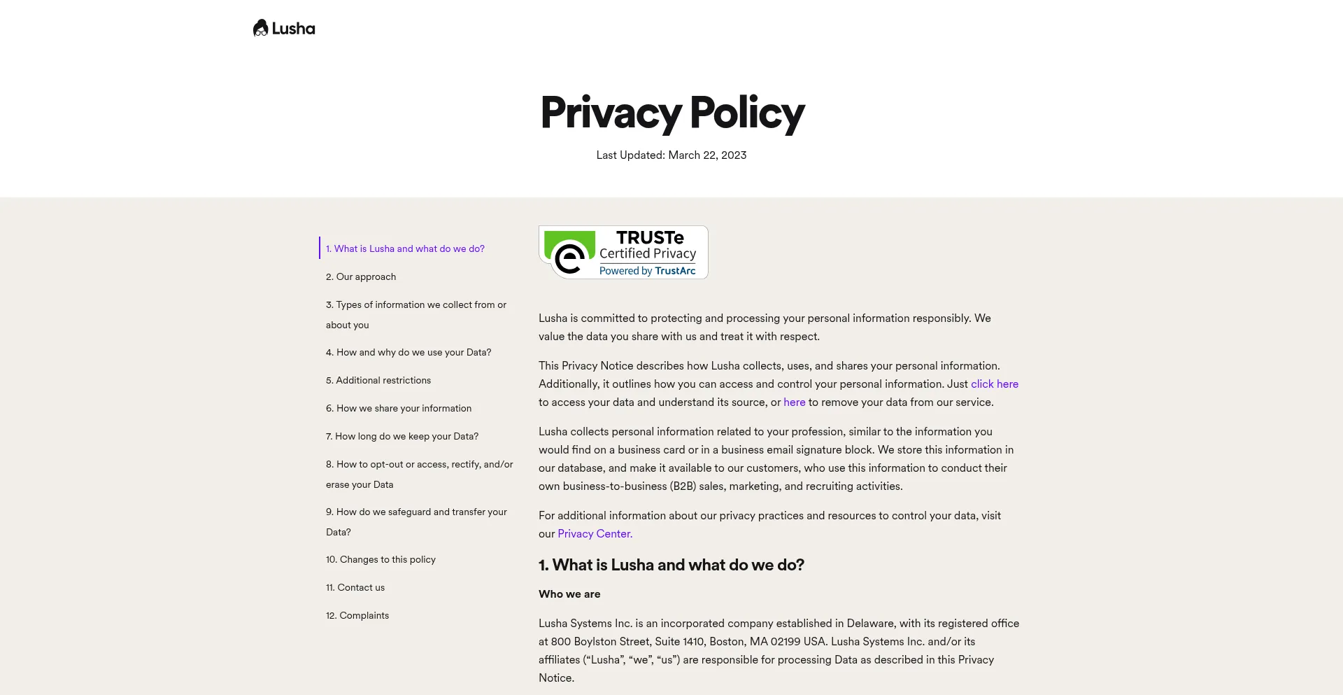Website screenshot of Lushaprivacy.com