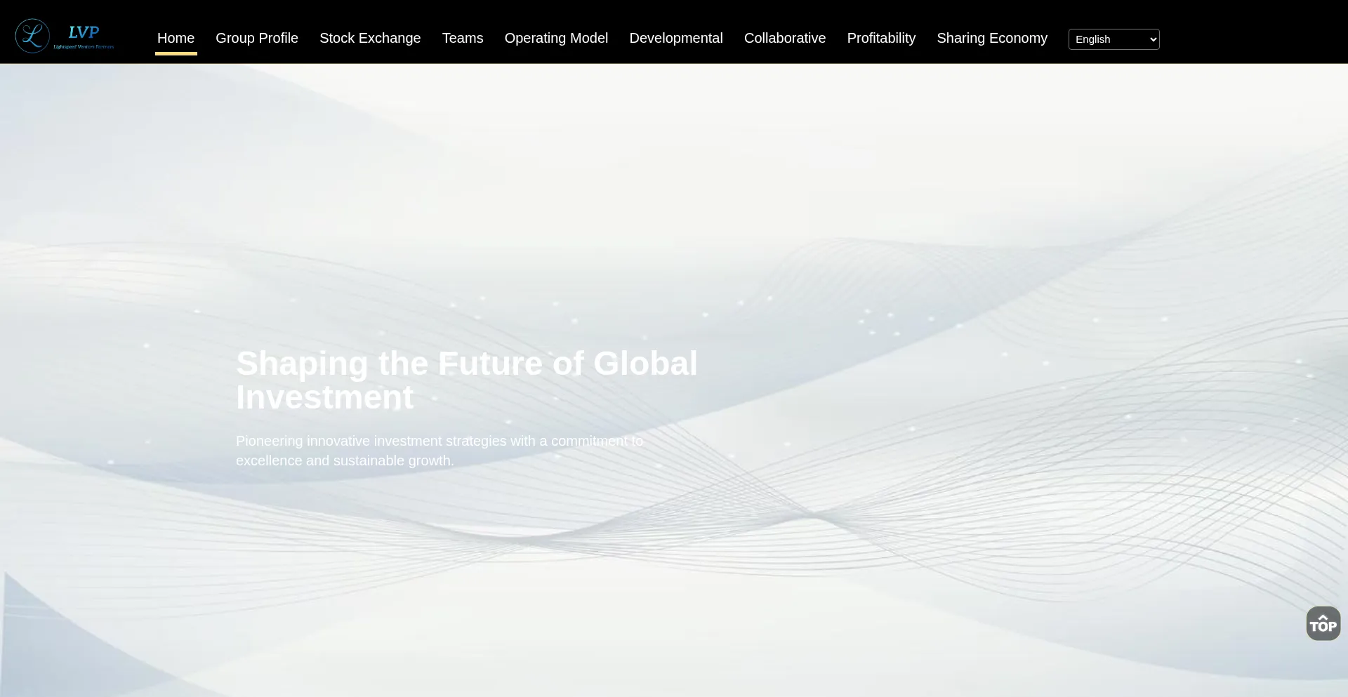 Website screenshot of Lvp.pro