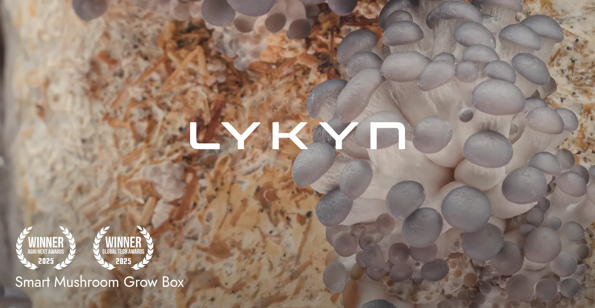 Lykyn.com