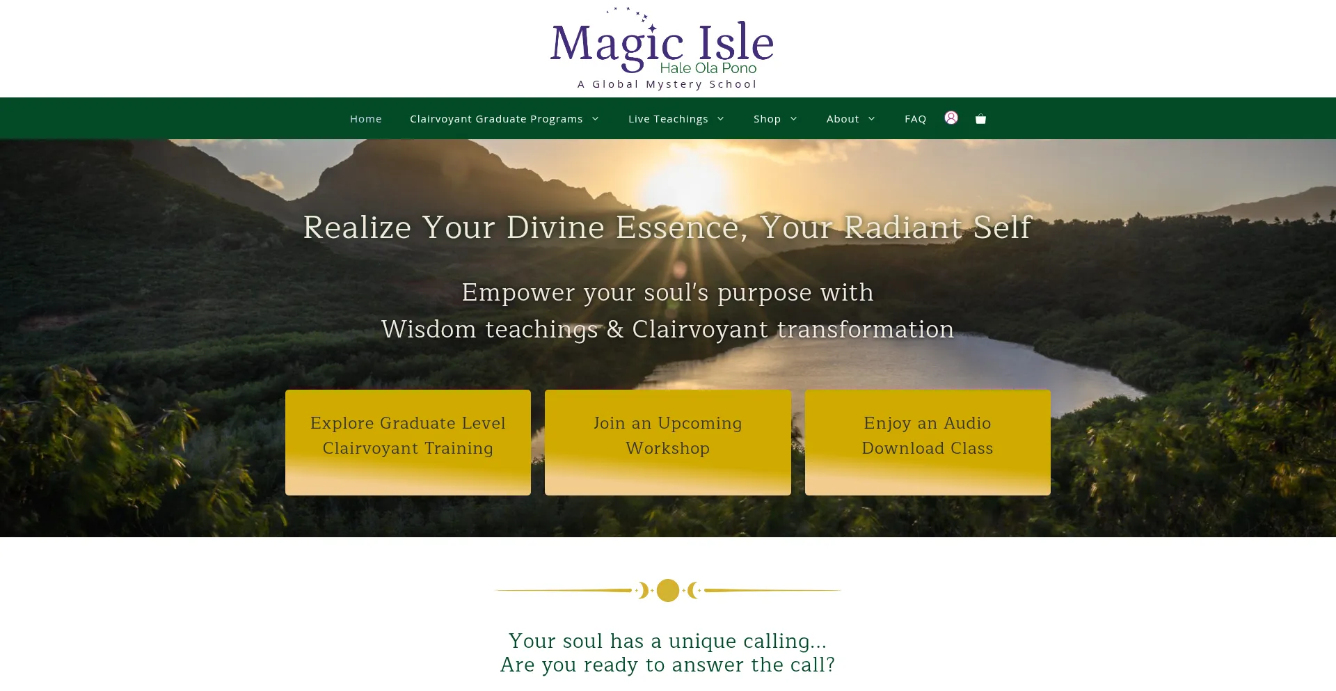 Website screenshot of Magicisle.com