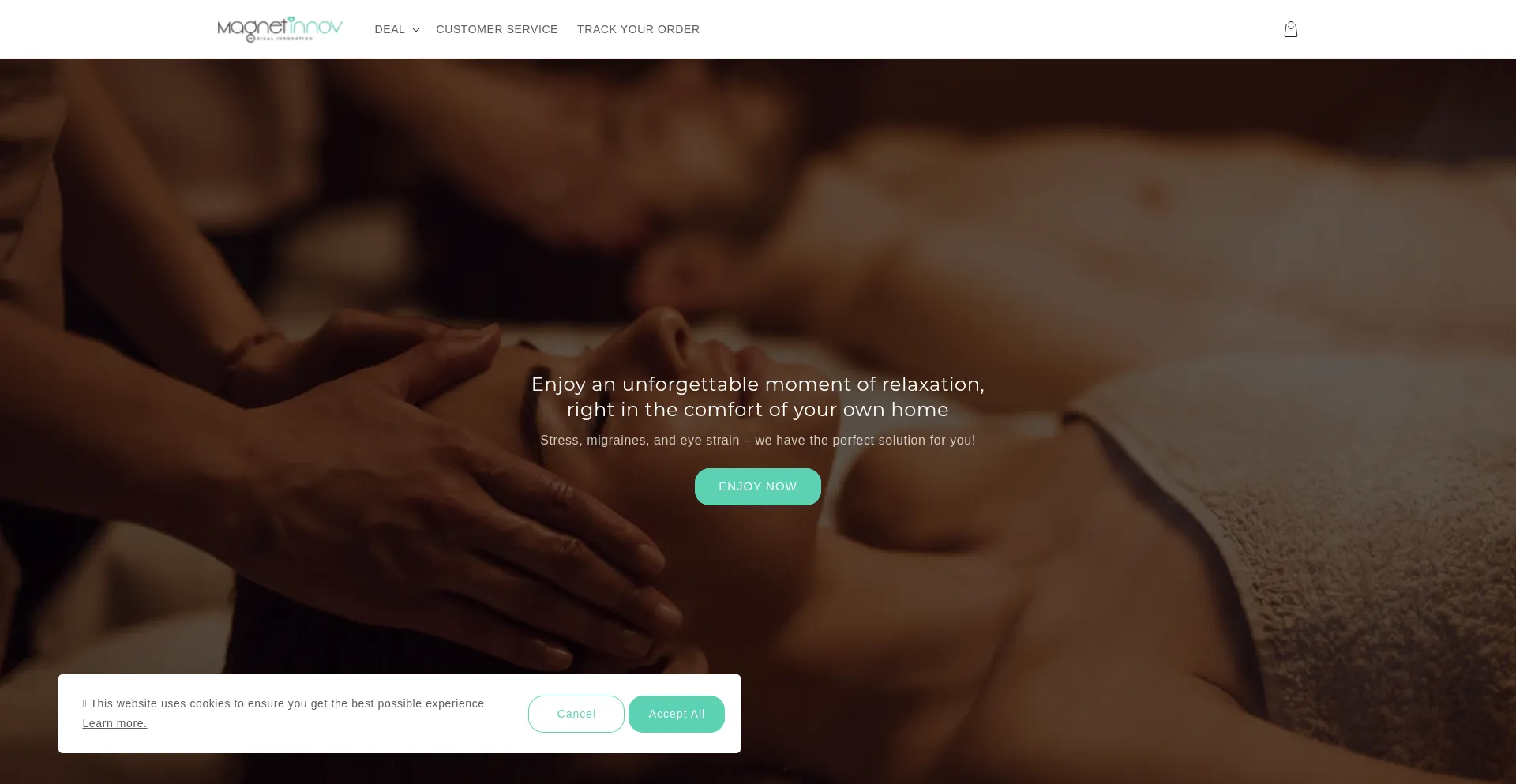 Website screenshot of Magnet-innov.eu