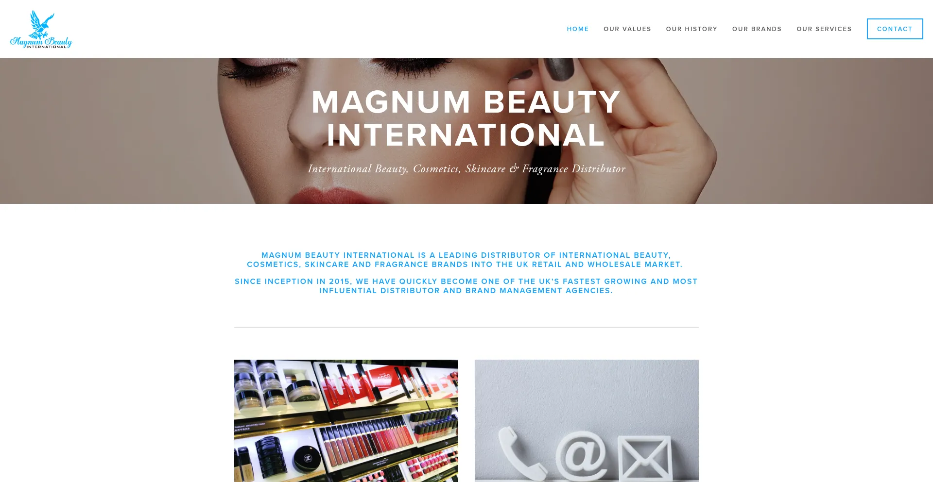 Website screenshot of Magnumbeauty.com