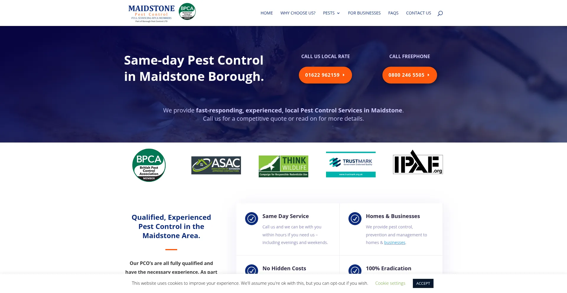 Maidstonepestcontrol.services