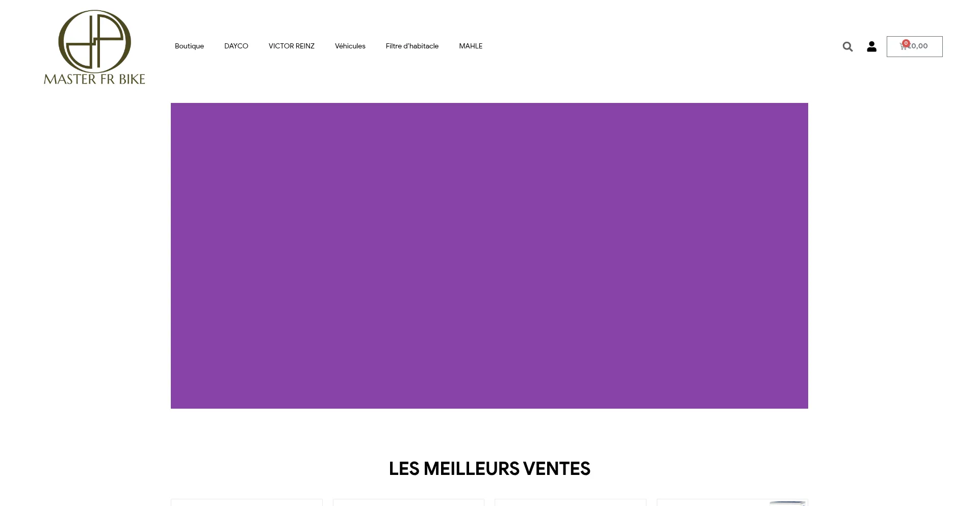 Masterfrbike.com est-il Sûr et Fiable ?
