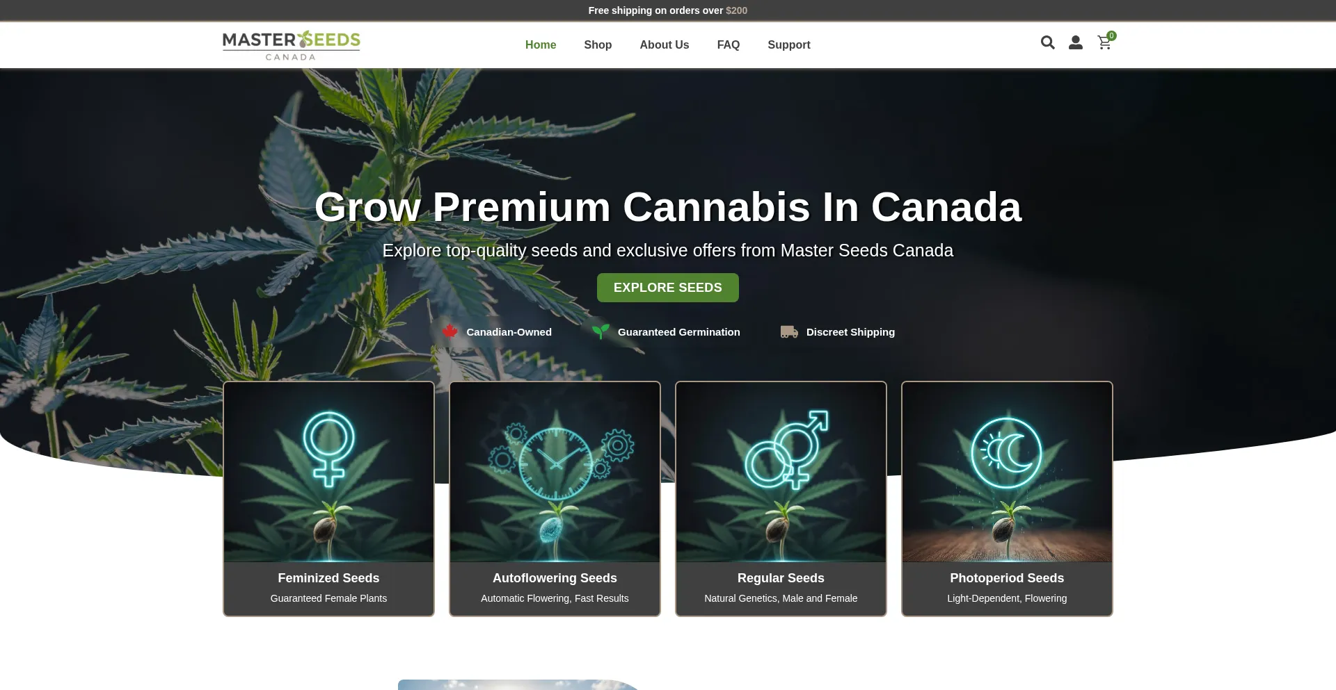 Masterseeds.net