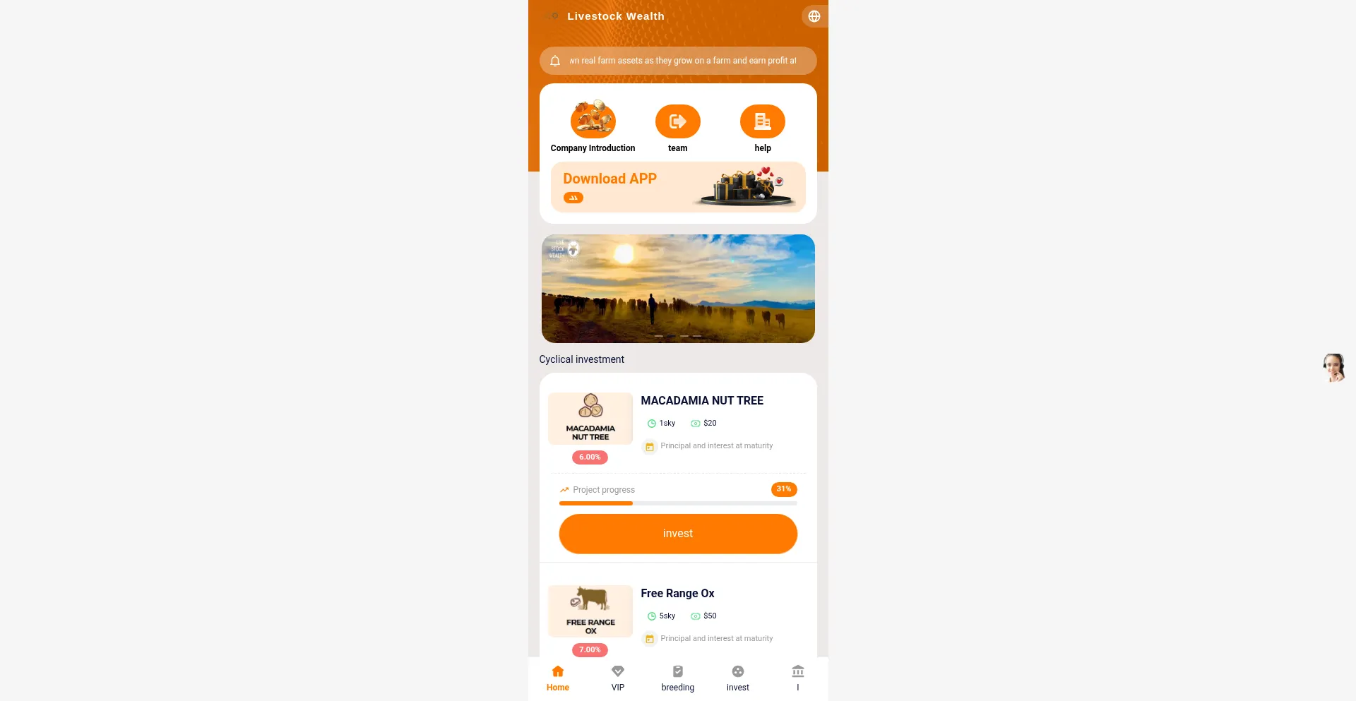 Mcvciy.livestock.cloud