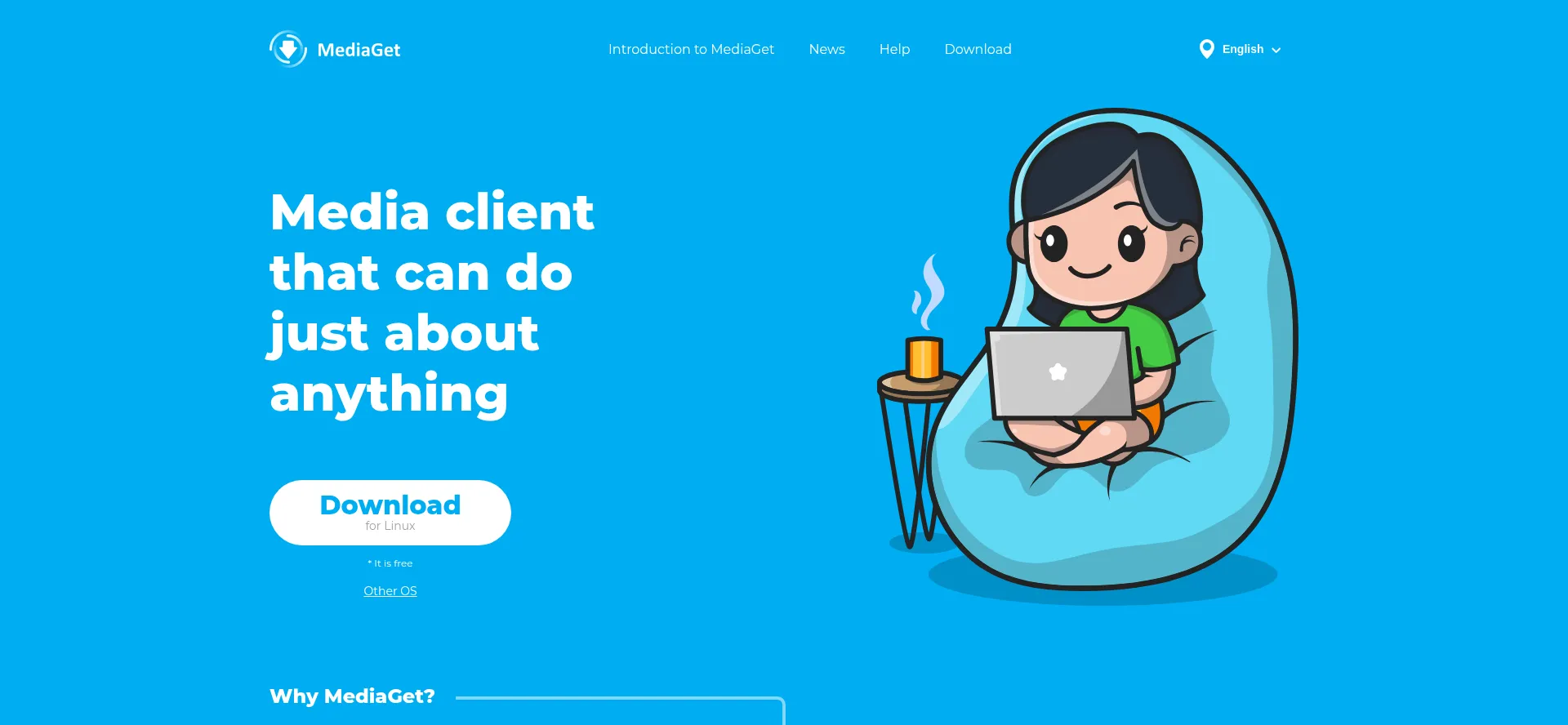 Website screenshot of Mediaget.com