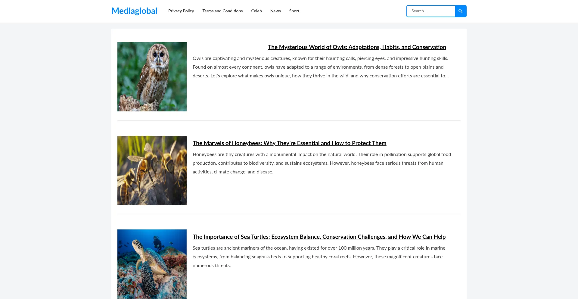 Website screenshot of Mediaglobal.info