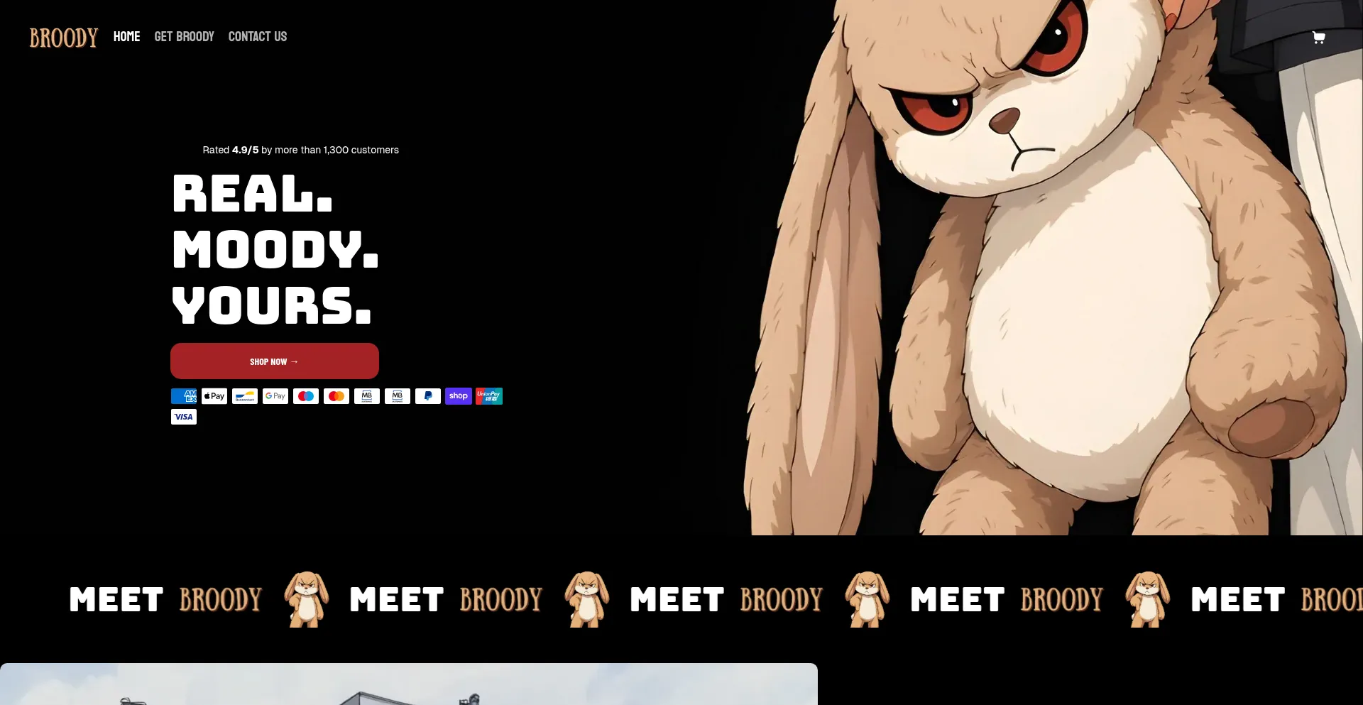 Meetbroody.com est-il Sûr et Fiable ?