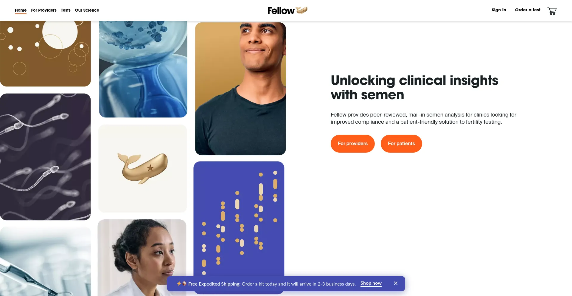 Meetfellow.com est-il Sûr et Fiable ?