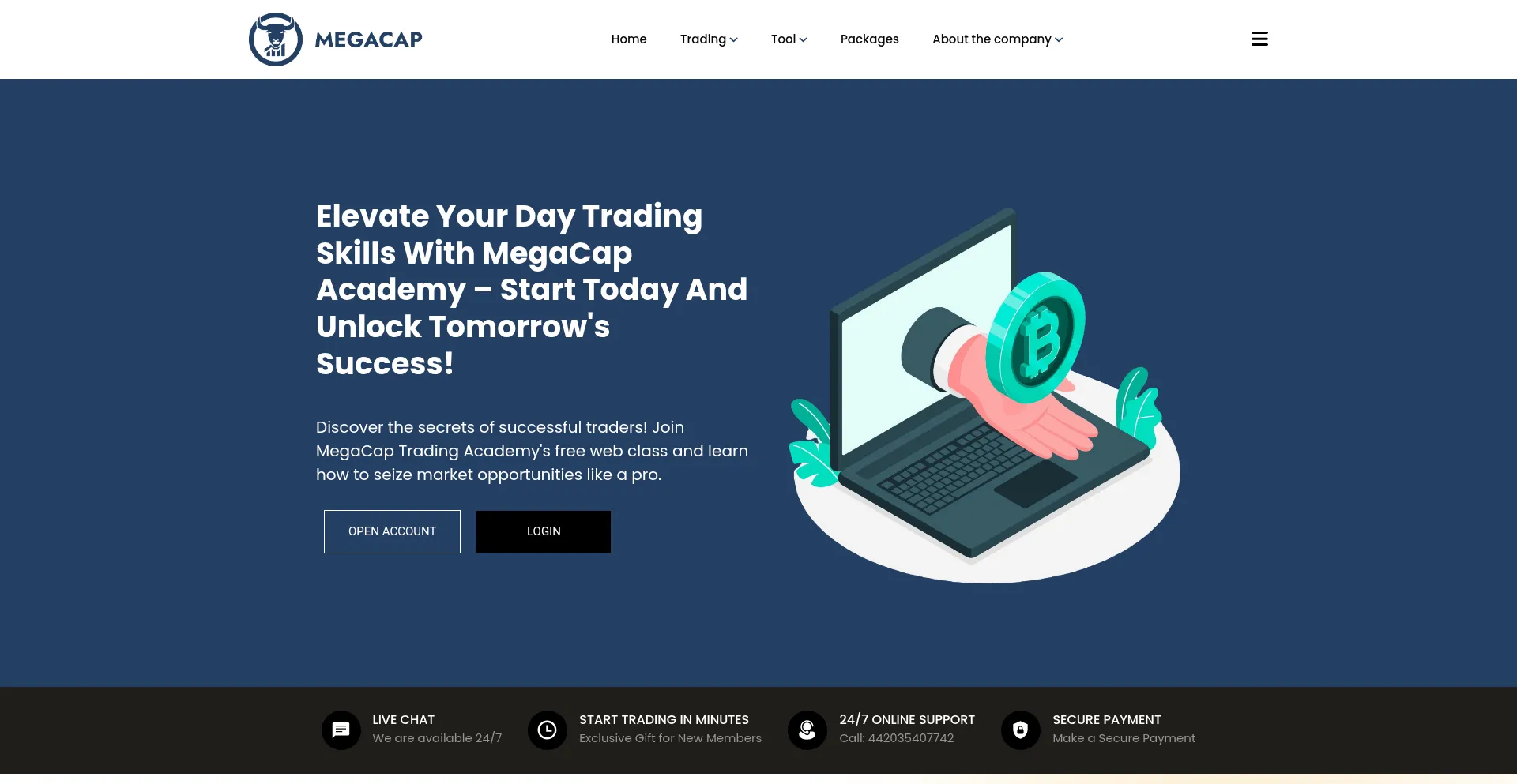 Website screenshot of Megacap.io