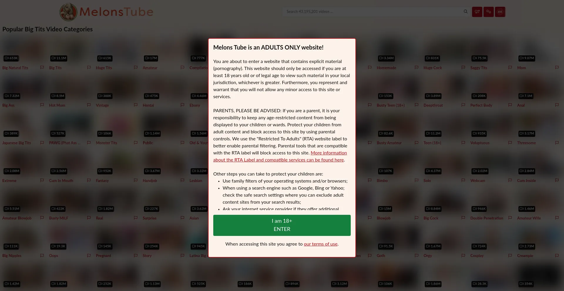 Website screenshot of Melonstube.com