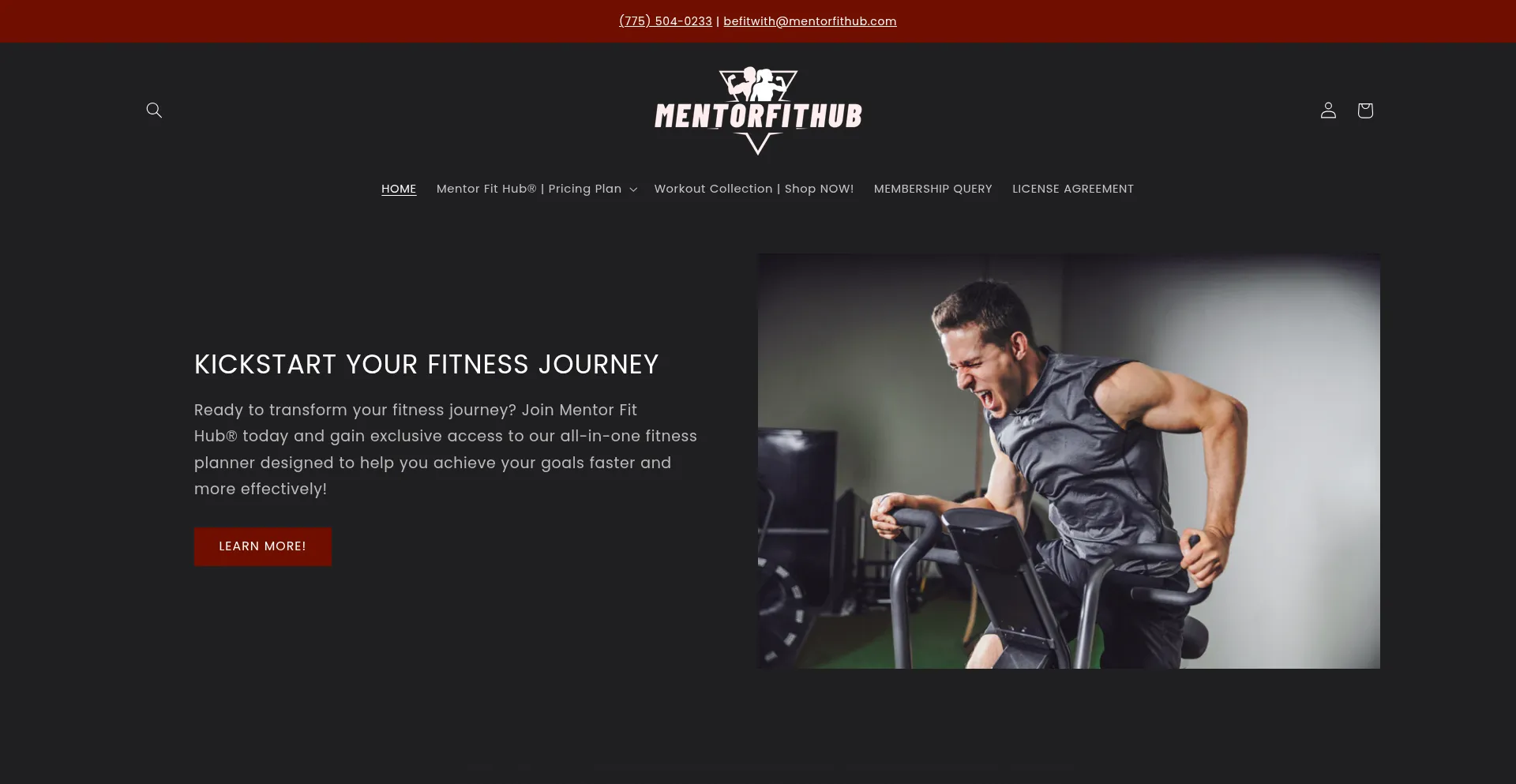 Website screenshot of Mentorfithub.com