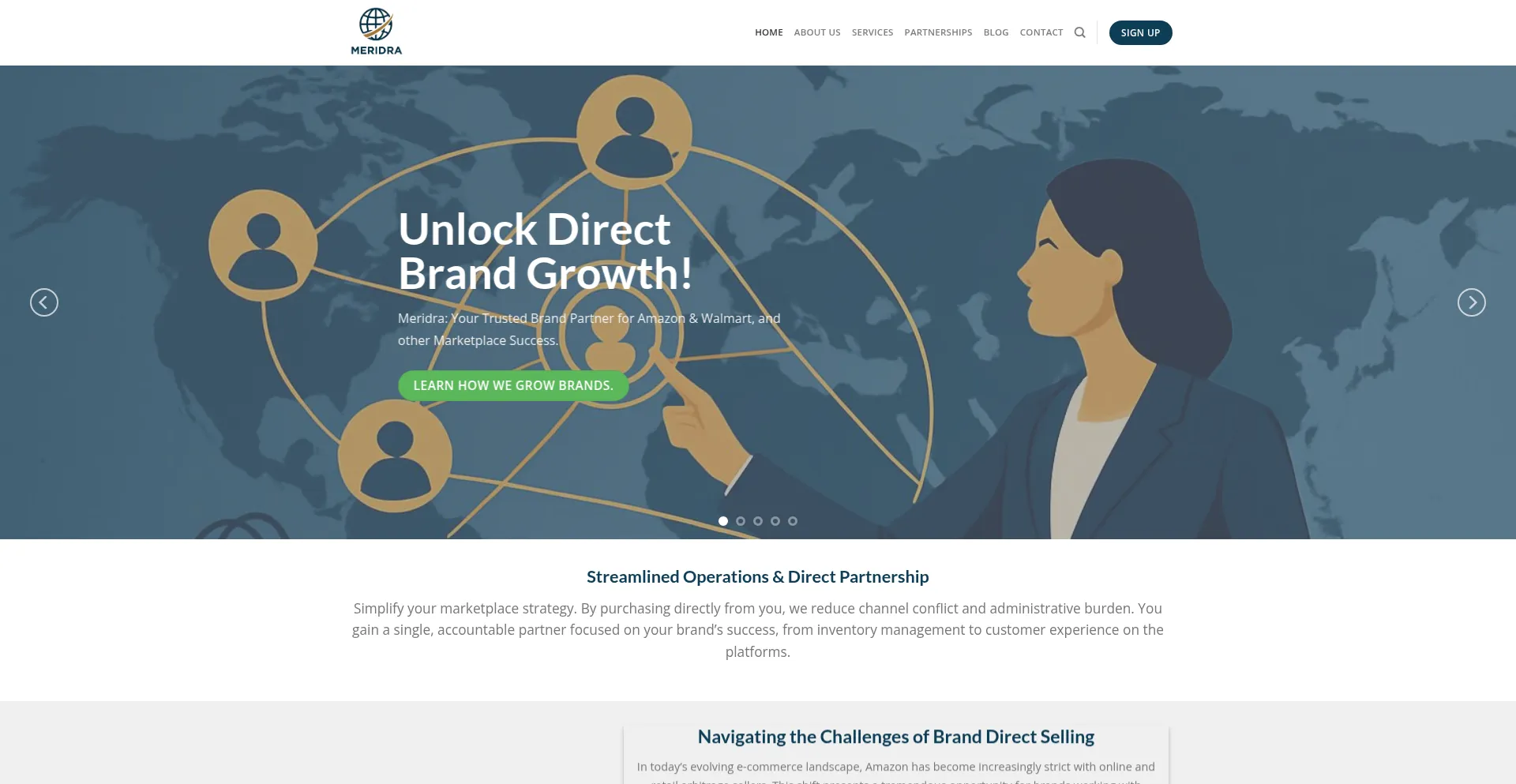 Website screenshot of Meridra.com