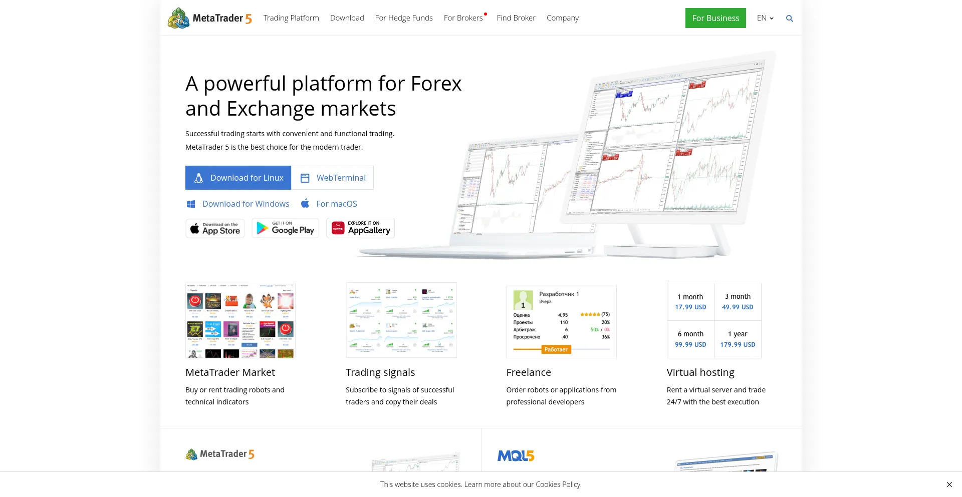 Website screenshot of Metatrader6.com