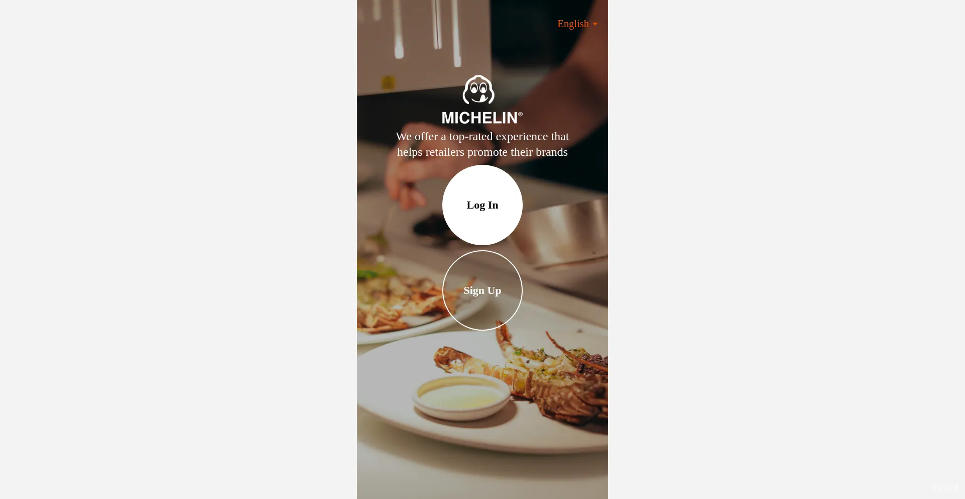 Website screenshot of Michelinfoodiemap.com