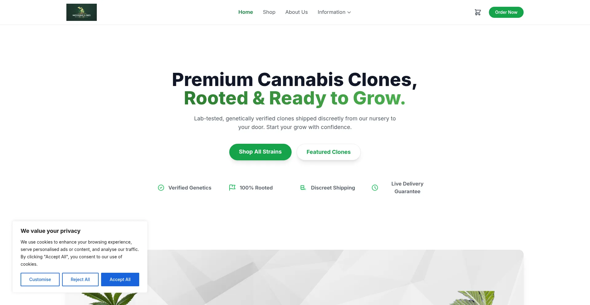 Website screenshot of Michiganclones.com