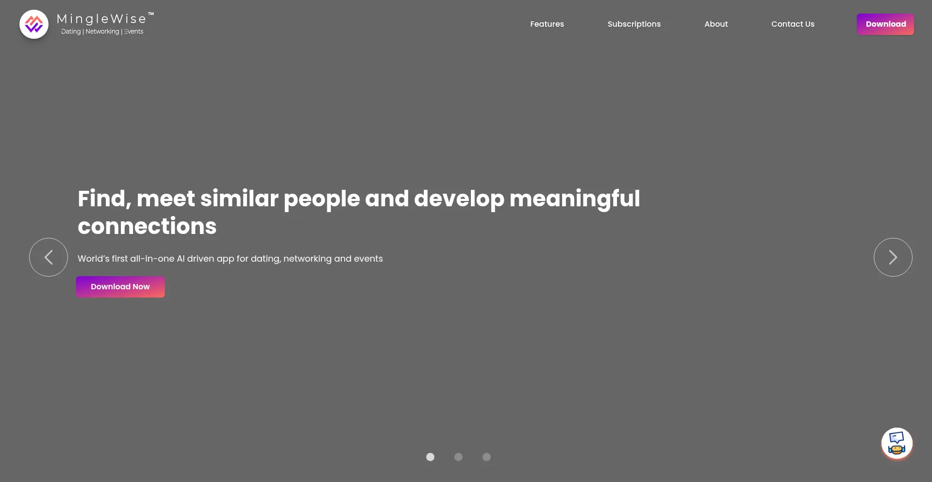 Website screenshot of Minglewise.com