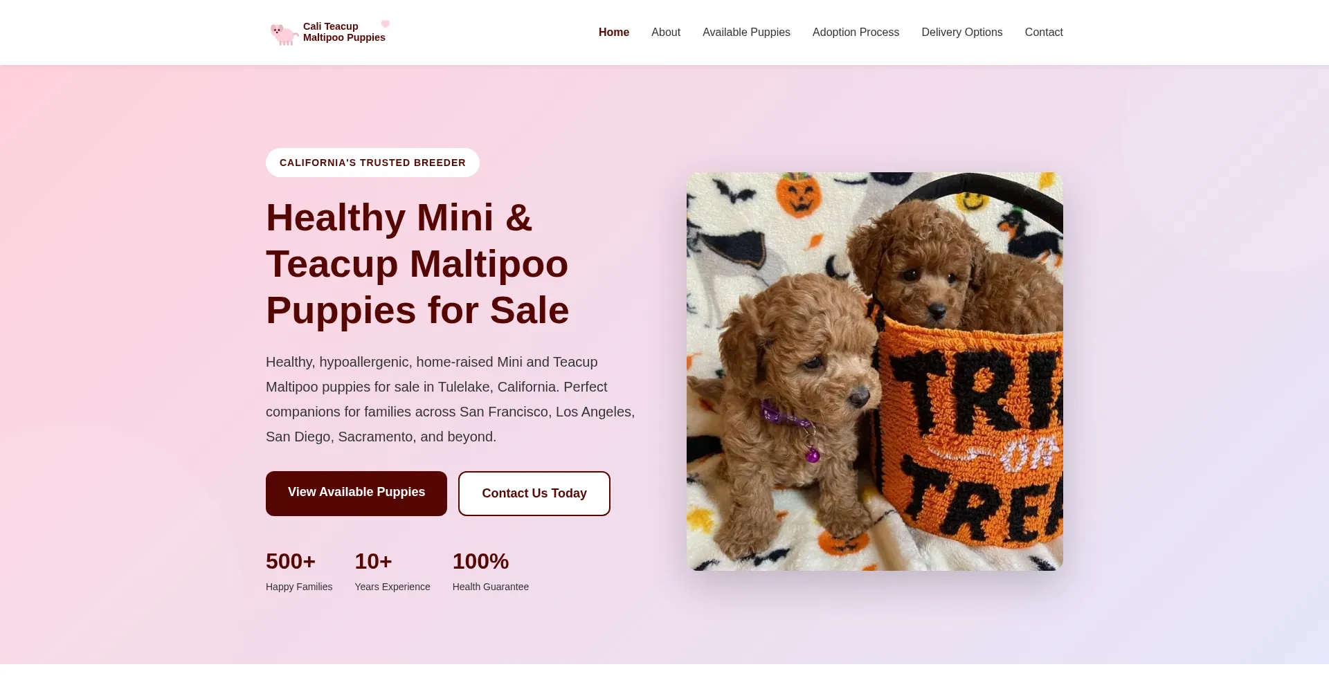 Minimaltipoo.com
