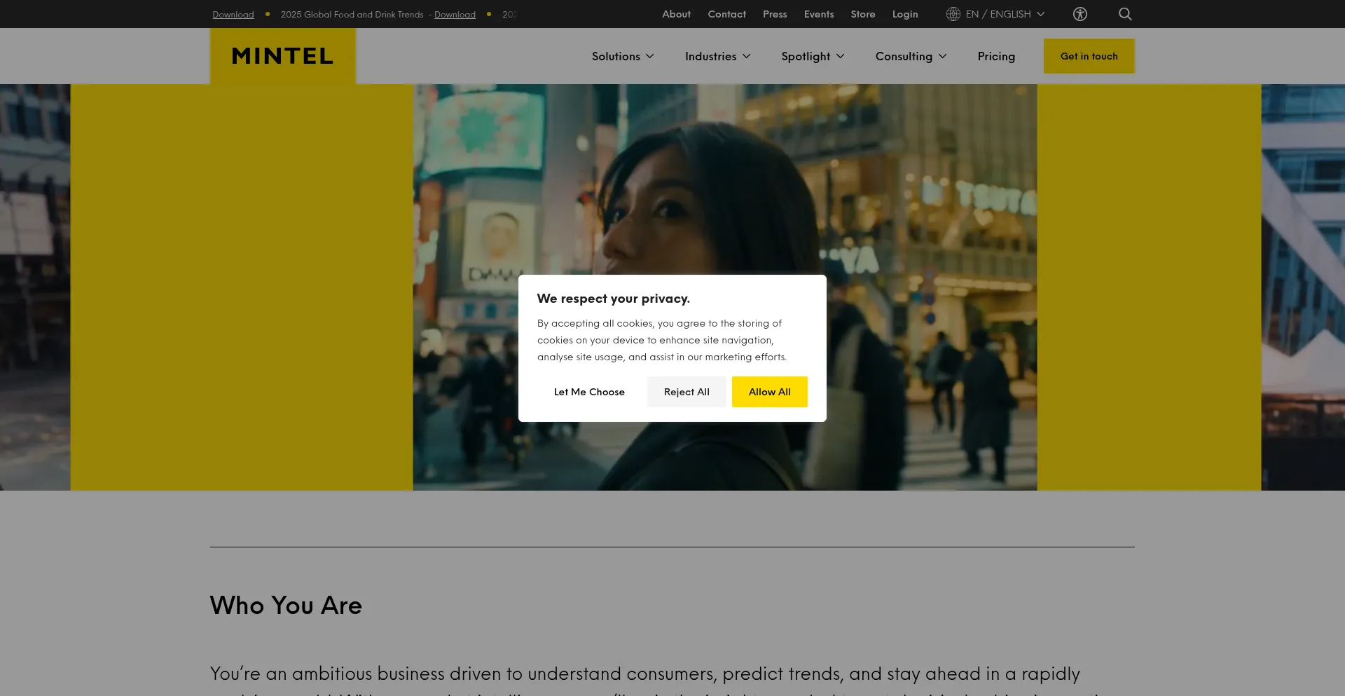 Website screenshot of Mintel.com