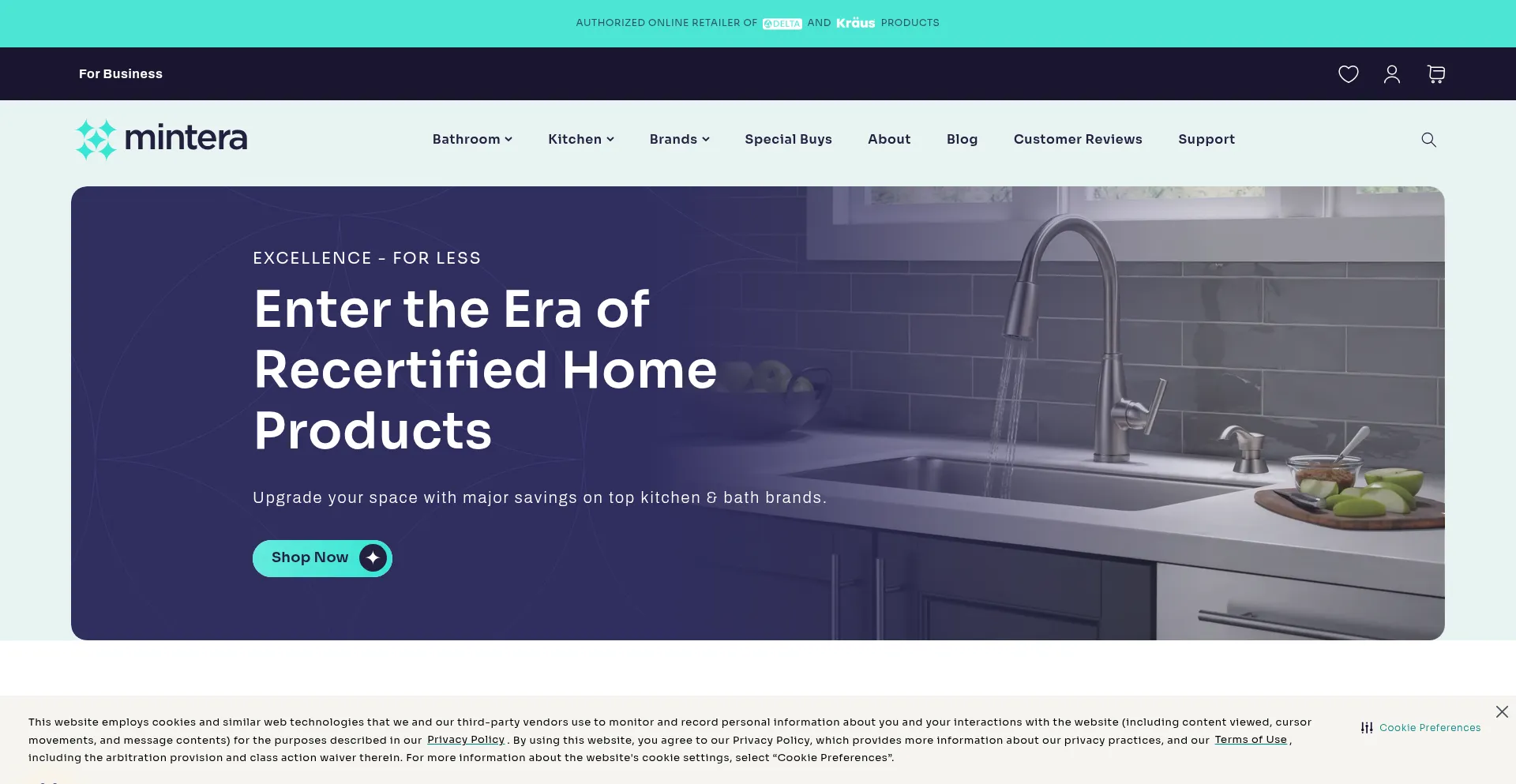 Mintera.com Screenshot