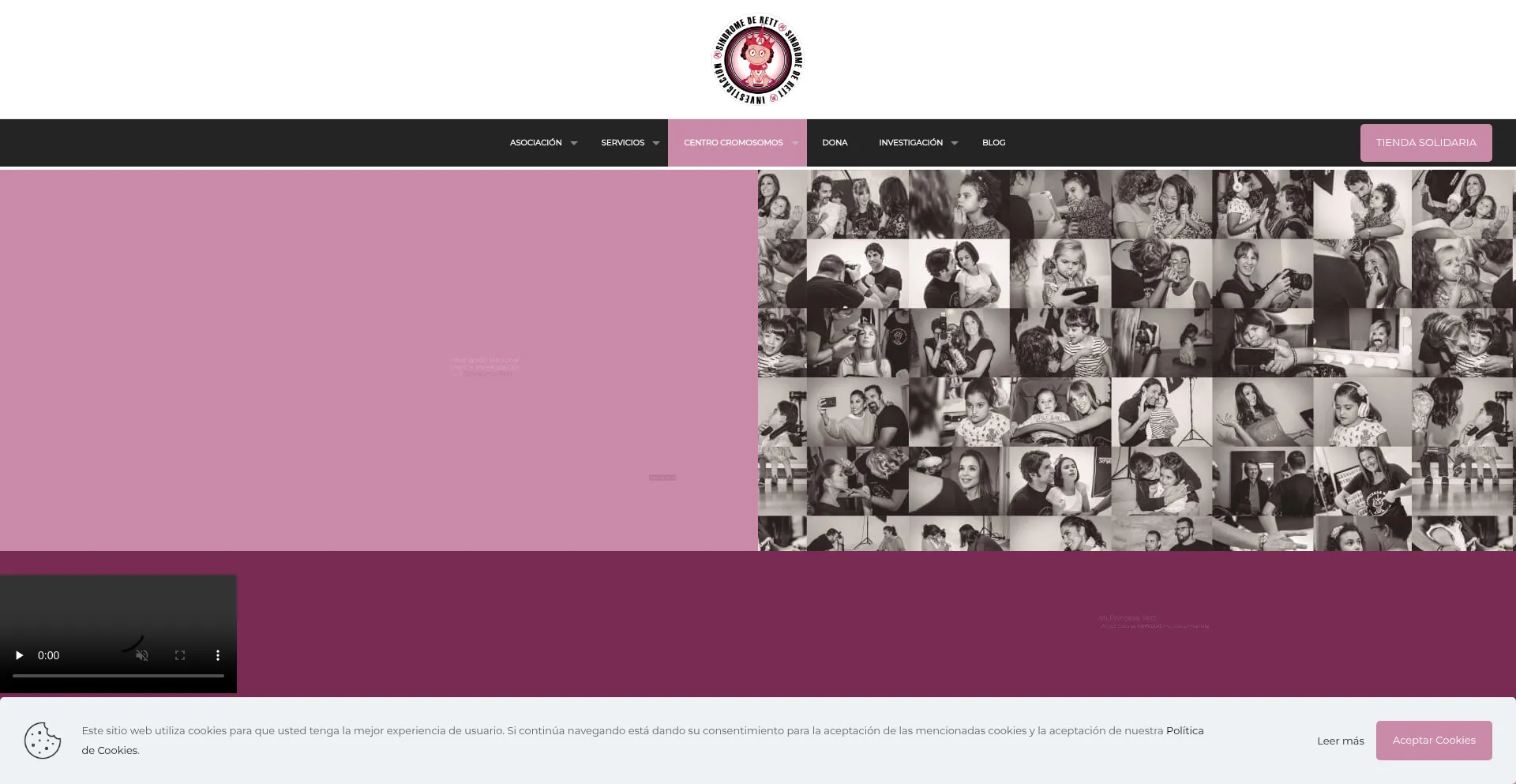 Website screenshot of Miprincesarett.es