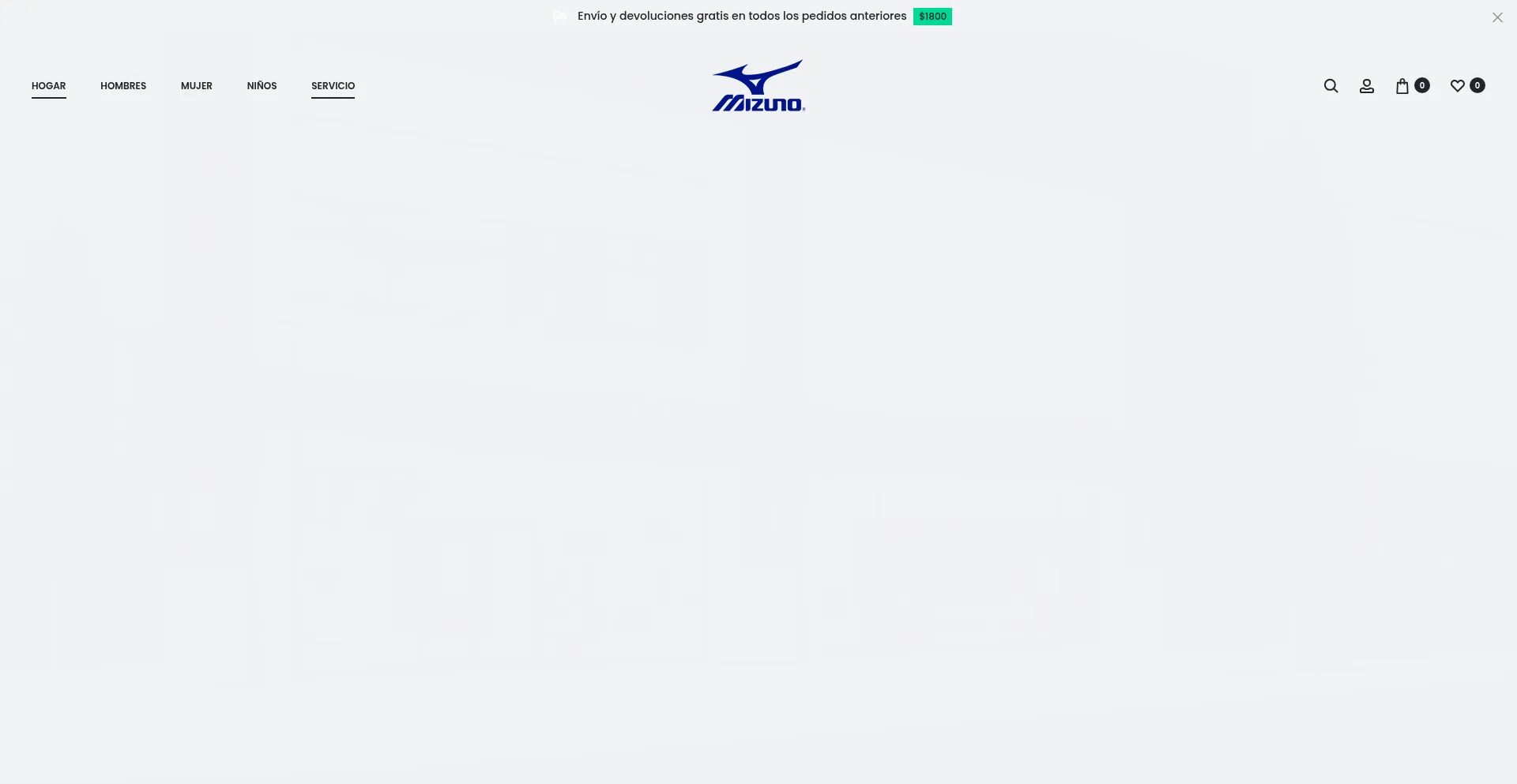 Website screenshot of Mizunos.com.mx