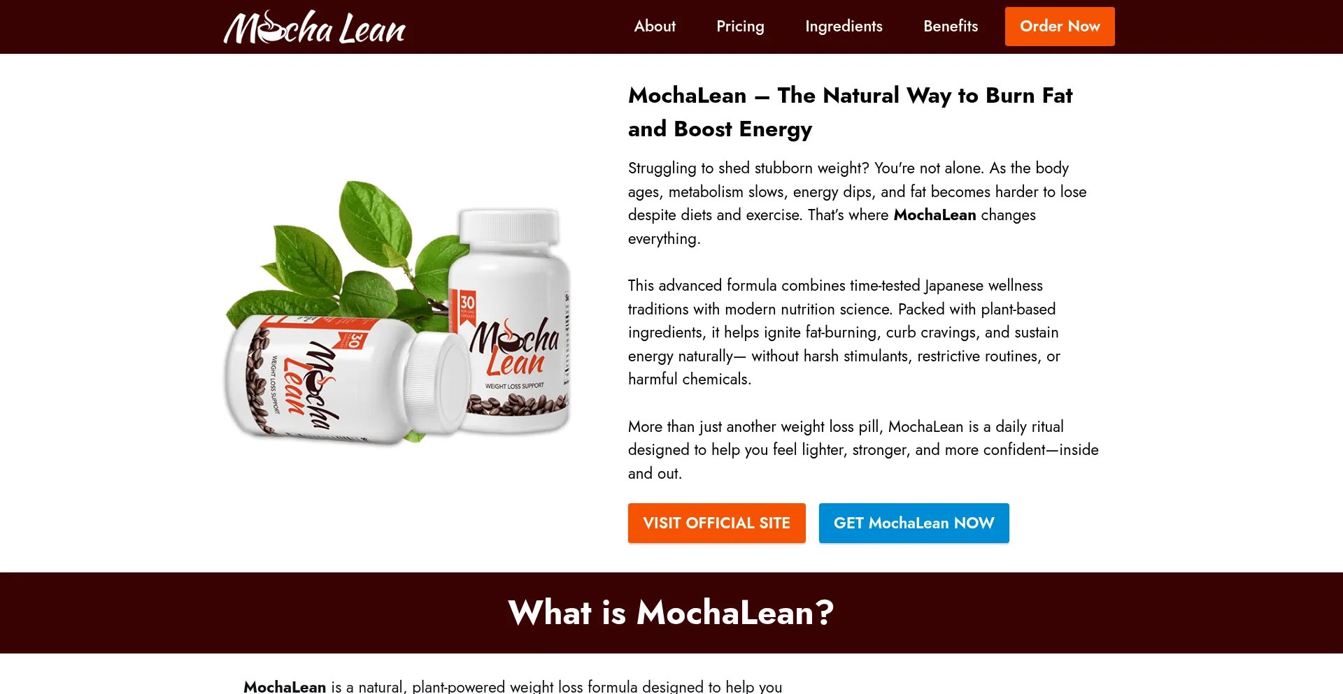 Mochalen.com est-il Sûr et Fiable ?